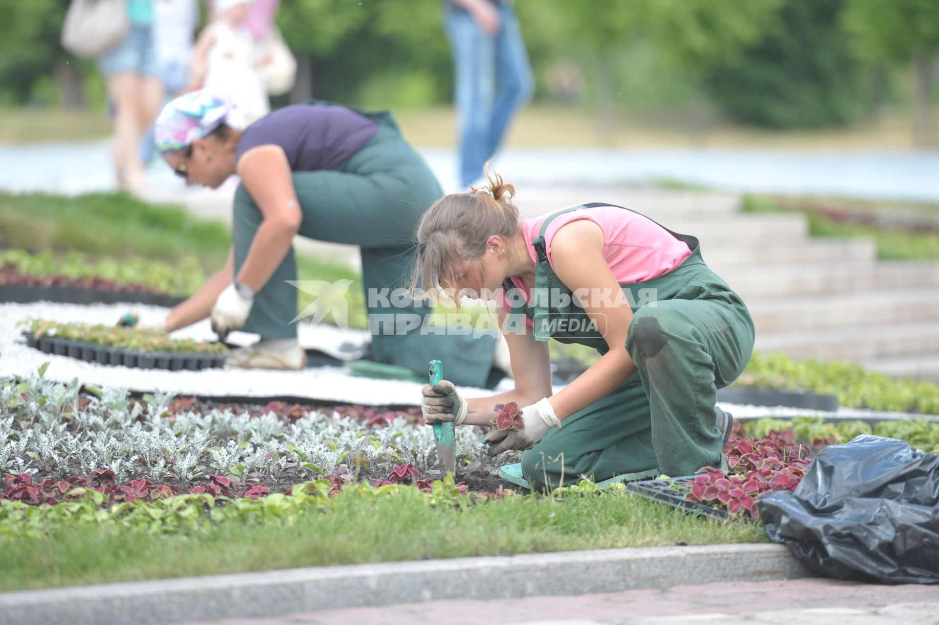 Девушки сажают цветы на клумбе в парке Царицыно, Москва, Оформители клумб, флористы. 11 июня 2011 года