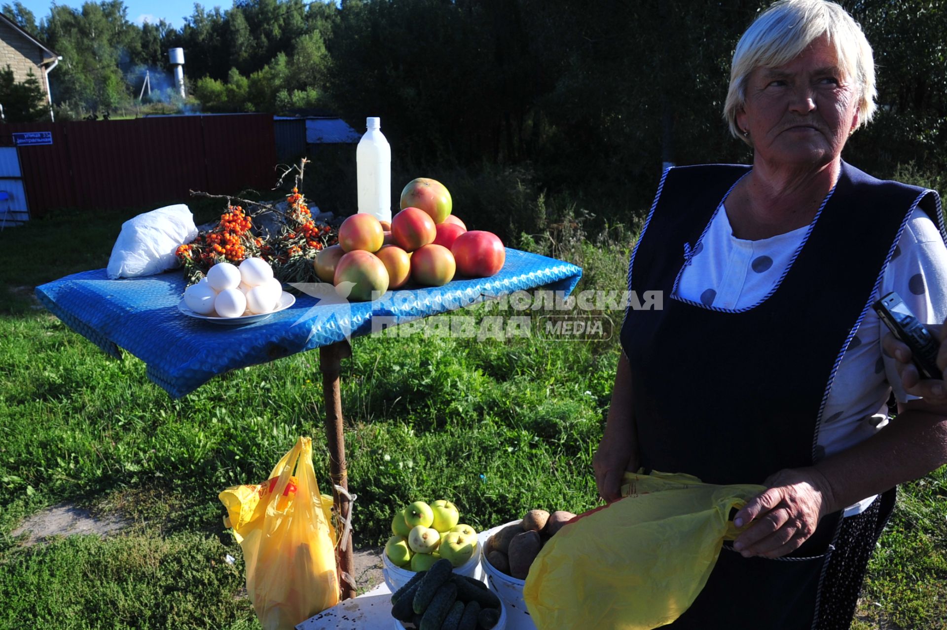 Придорожная торговля. На снимке: пенсионерка торгует продуктами. 25 августа  2011 года.