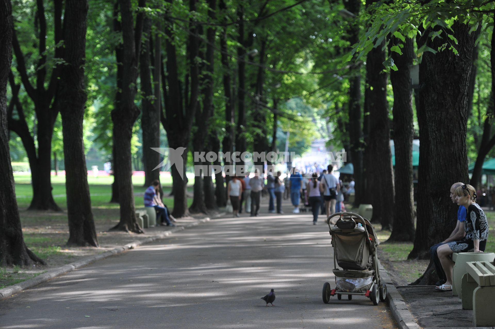 Парк Лефортово. Лефортовский парк. 26 июня 2011