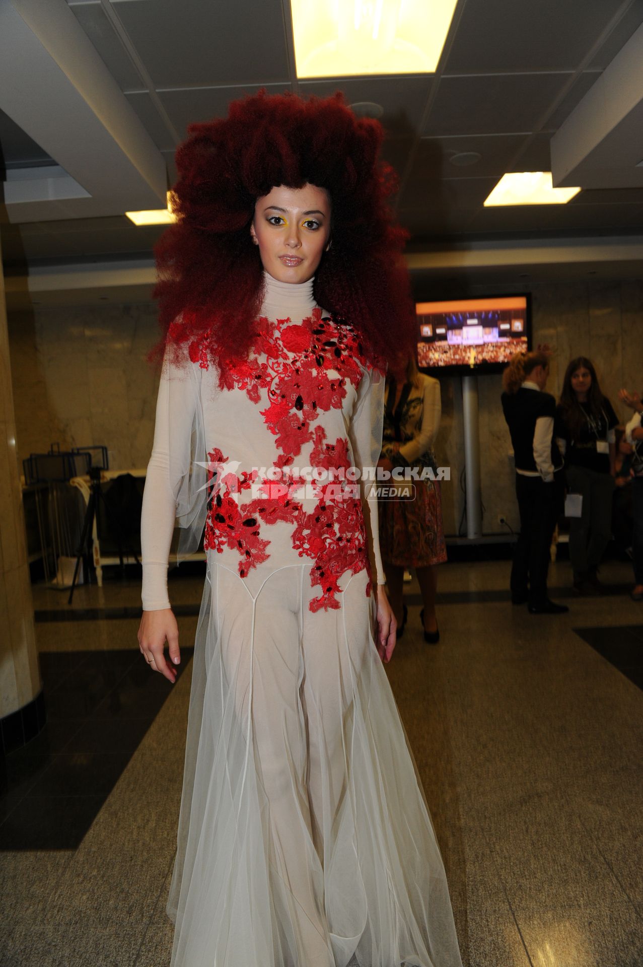 Международный конкурс парикмахеров \"Alternative Hair Show 2011\" в Кремлевском дворце. Москва. 28 сентября  2011 года.