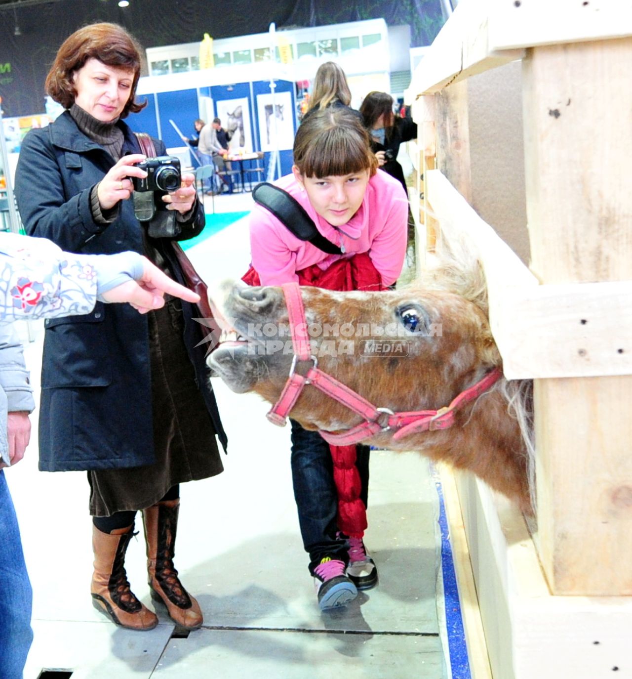Международная конная выставка ЭКВИРОС. На снимке: посетители выставки у стойла с пони. 5 октября 2011 года.
