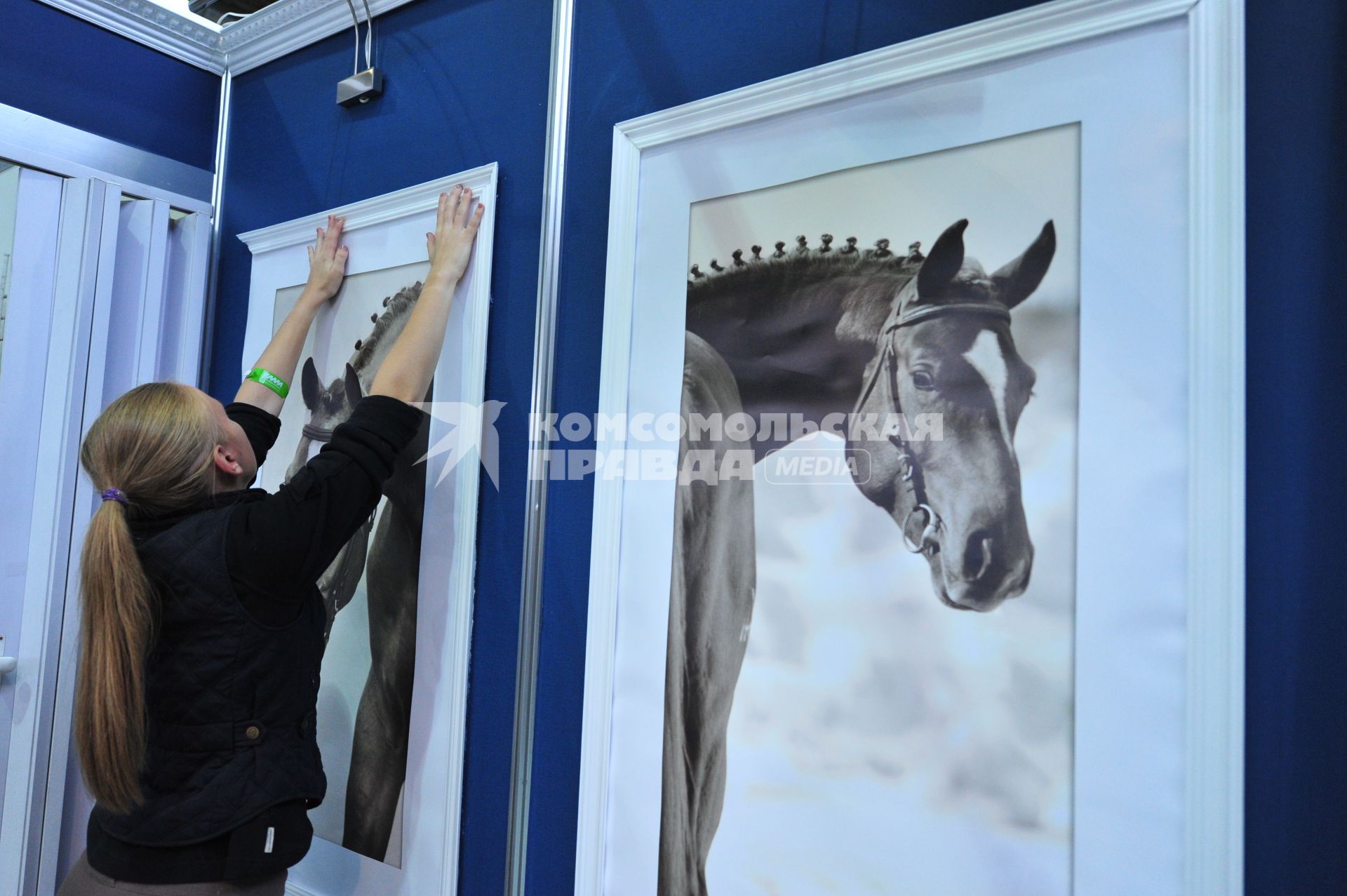 Международная конная выставка ЭКВИРОС. На снимке: девушка размещает фотографии лошадей. 5 октября 2011 года.