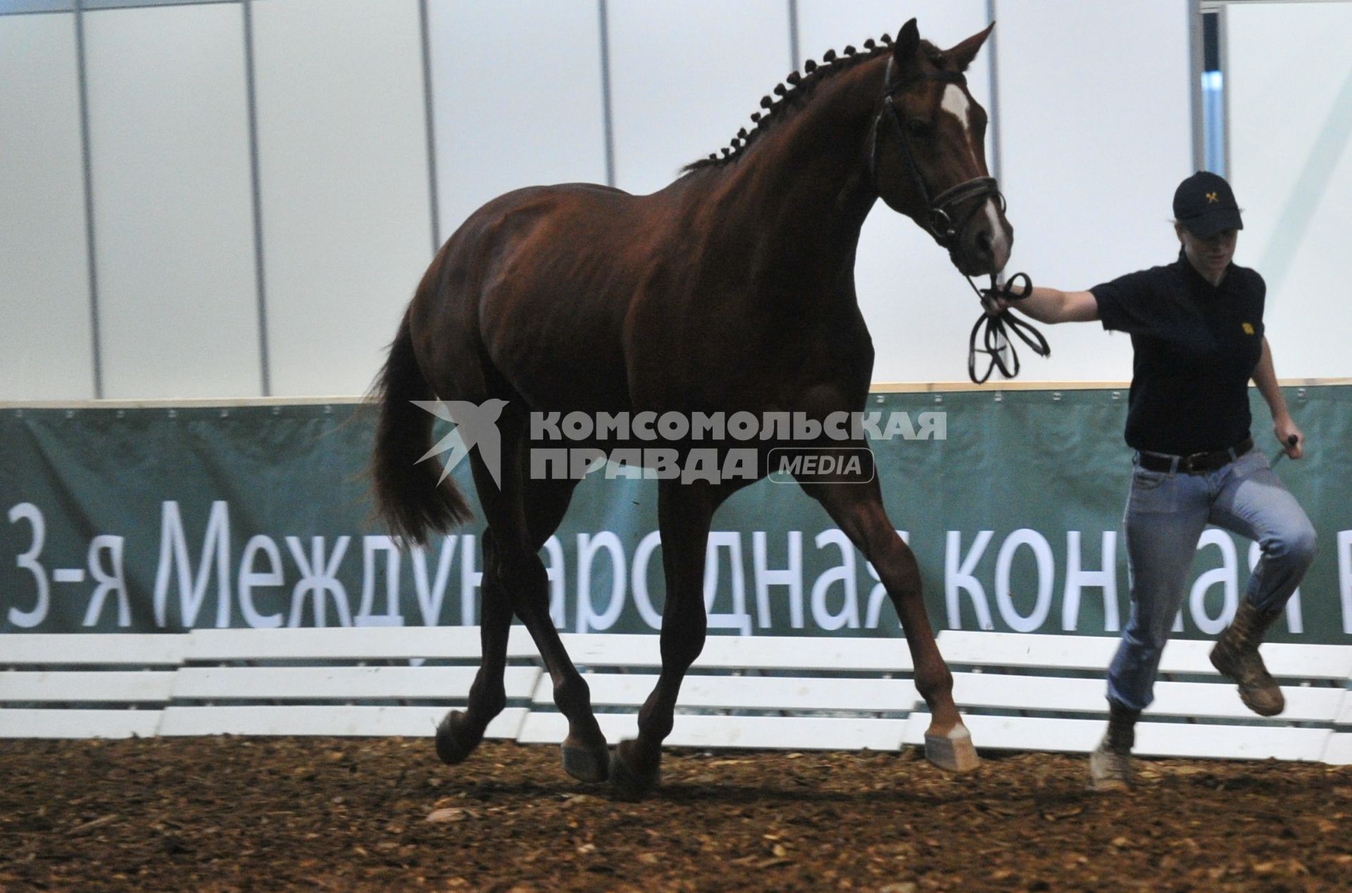 Международная конная выставка ЭКВИРОС. На снимке: девушка ведет лошадь. 5 октября 2011 года.