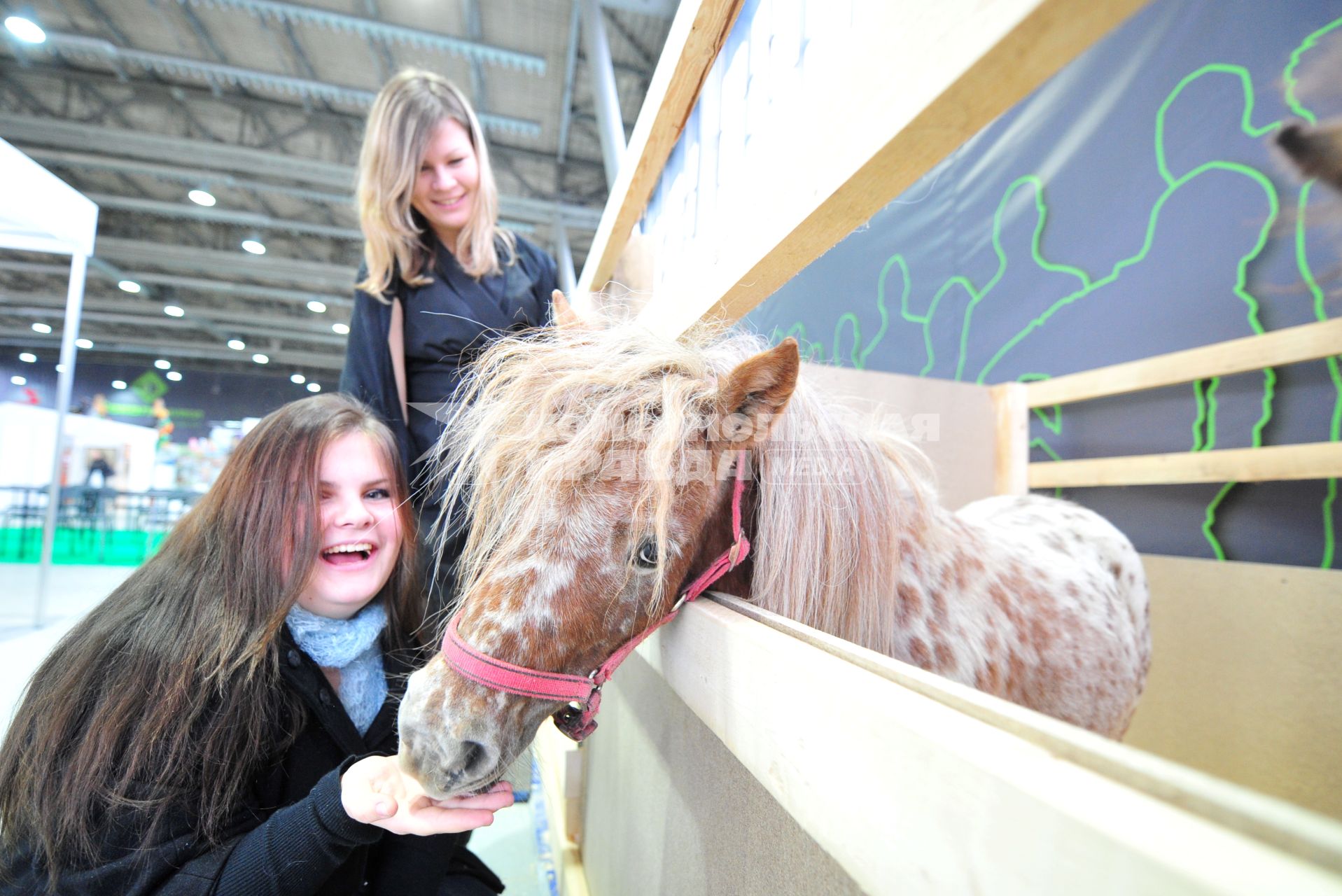 Международная конная выставка ЭКВИРОС. На снимке: посетители выставки у стойла с пони. 5 октября 2011 года.
