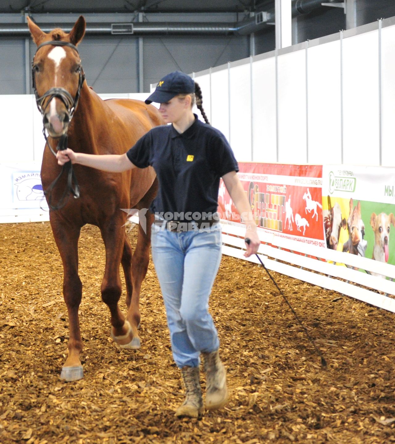 Международная конная выставка ЭКВИРОС. На снимке: девушка ведет лошадь. 5 октября 2011 года.