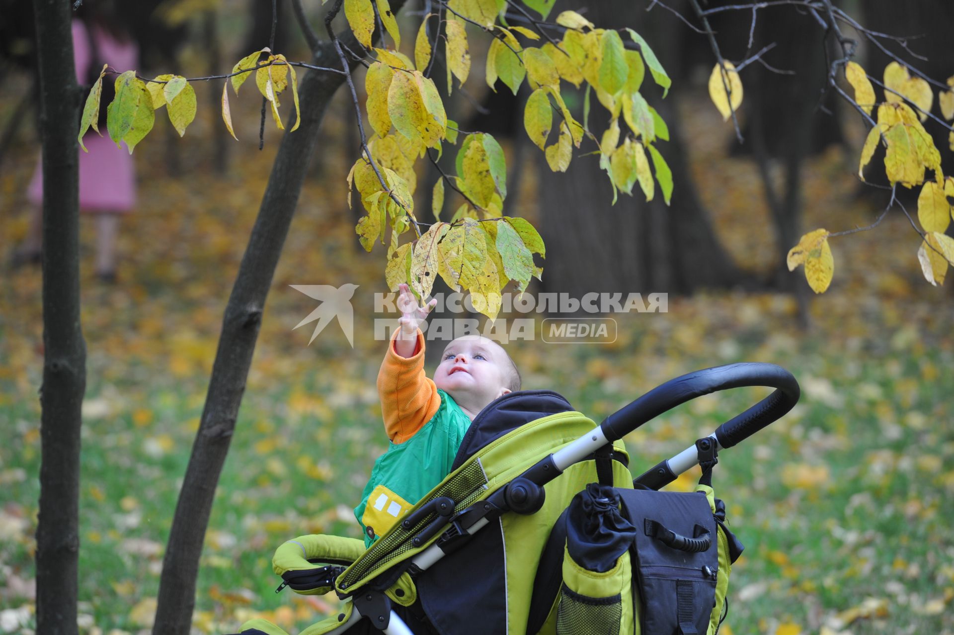 Музей-заповедник \"Царицыно\". Москва. 10 октября  2011 года.