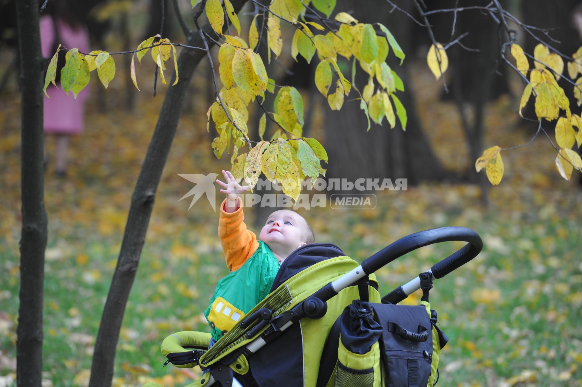 Музей-заповедник \"Царицыно\". Москва. 10 октября  2011 года.