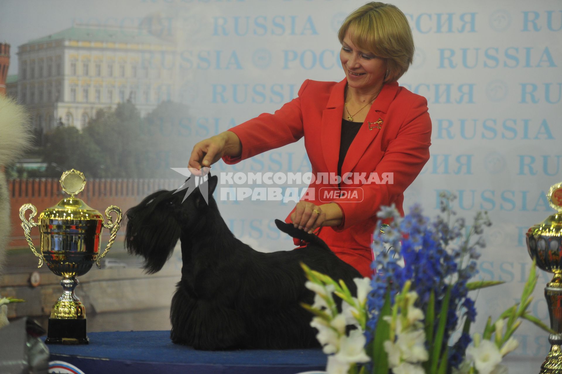 Иинтернациональная выставка собак РОССИИ 2011. На снимке: обладатель титула ЛУЧШАЯ СОБАКА ВЫСТАВКИ скотч-терьер Рико. 8 октября  2011 года.