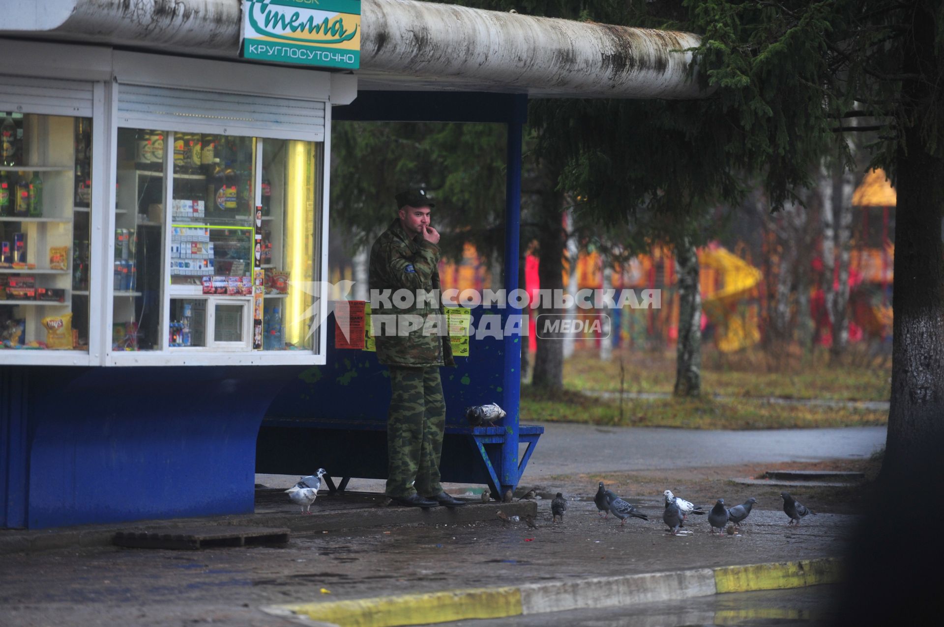 Военнослужащий грызет семечки на автобусной остановке, Плесецк, 03 ноября 2011 года