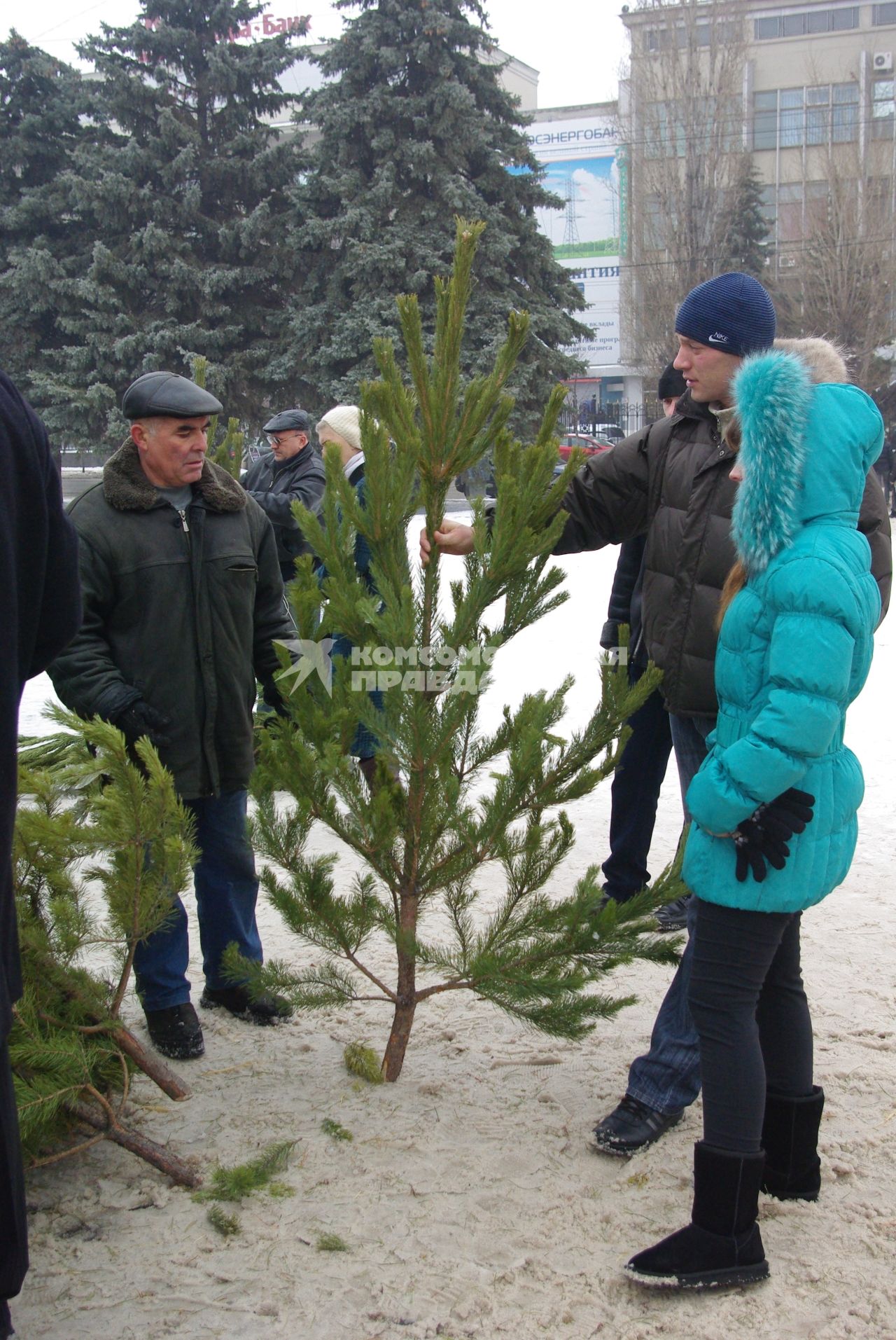 Елочный базар. 14 декабря  2011 года.