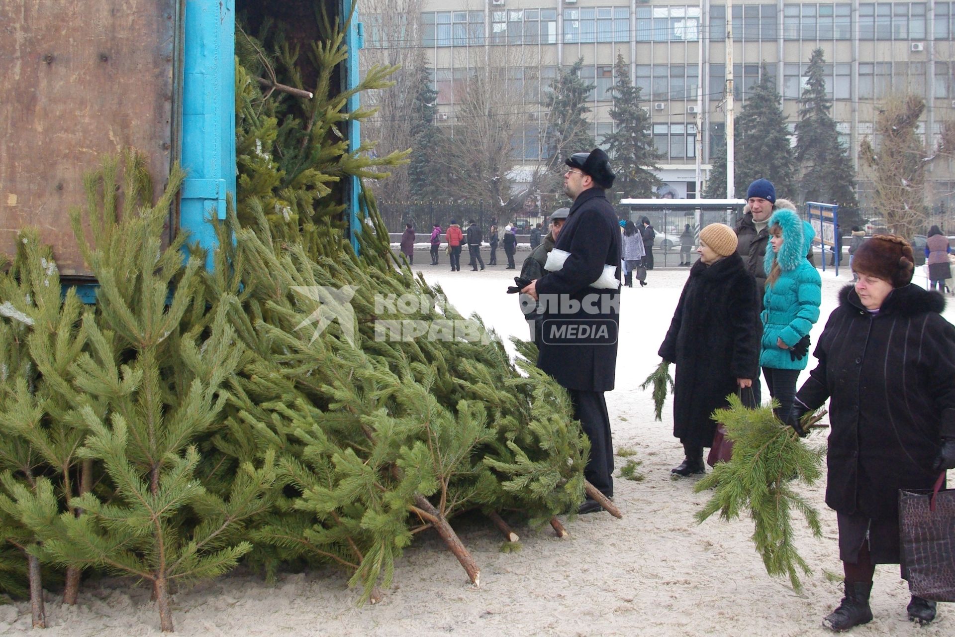 Елочный базар. 14 декабря  2011 года.