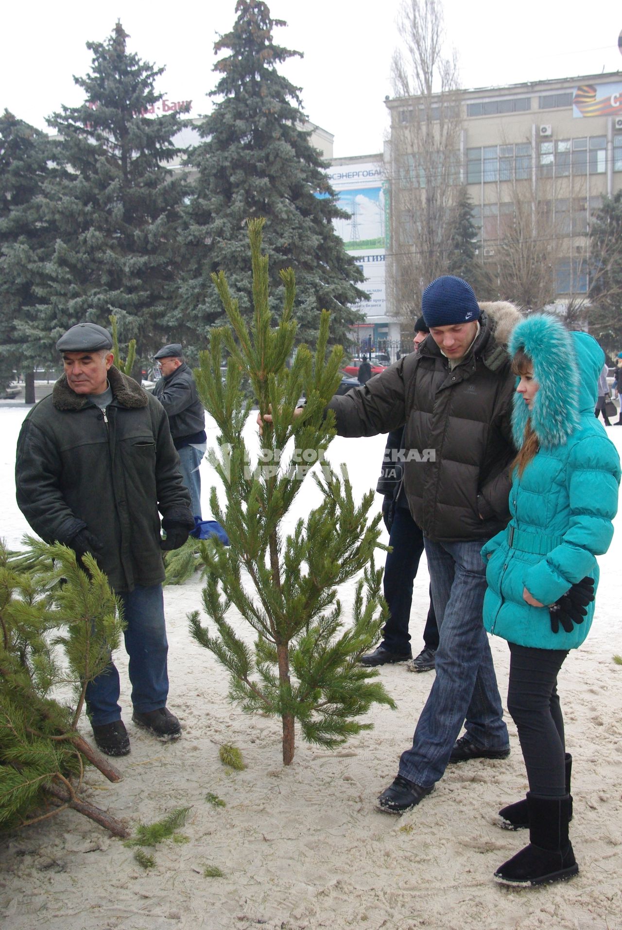 Елочный базар. 14 декабря  2011 года.