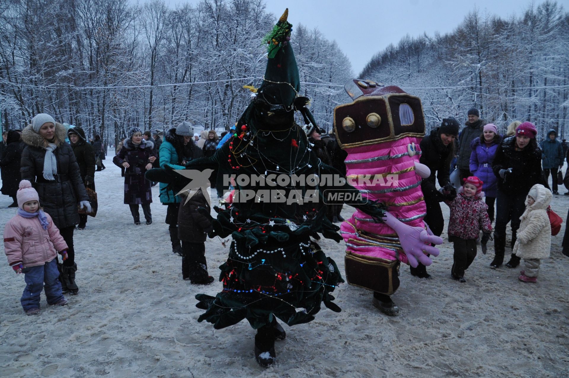 Парк \"Сокольники\". Зимние развлечения.  Москва. 09 января 2012 года.