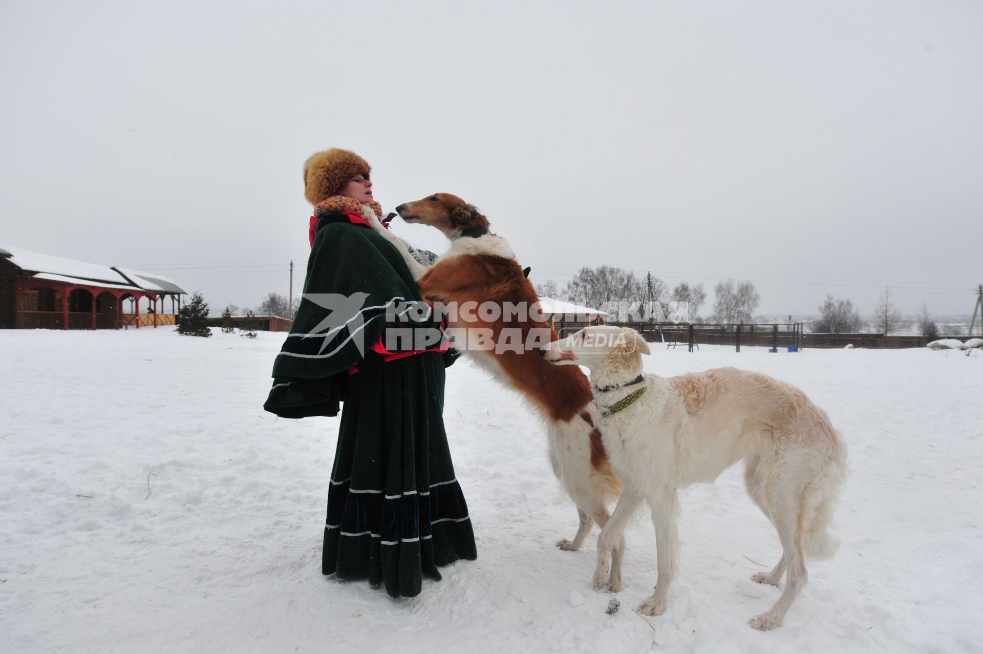 Реконструкция большой псовой охоты в Подмосковье. Можайск. 21 января 2012 года.