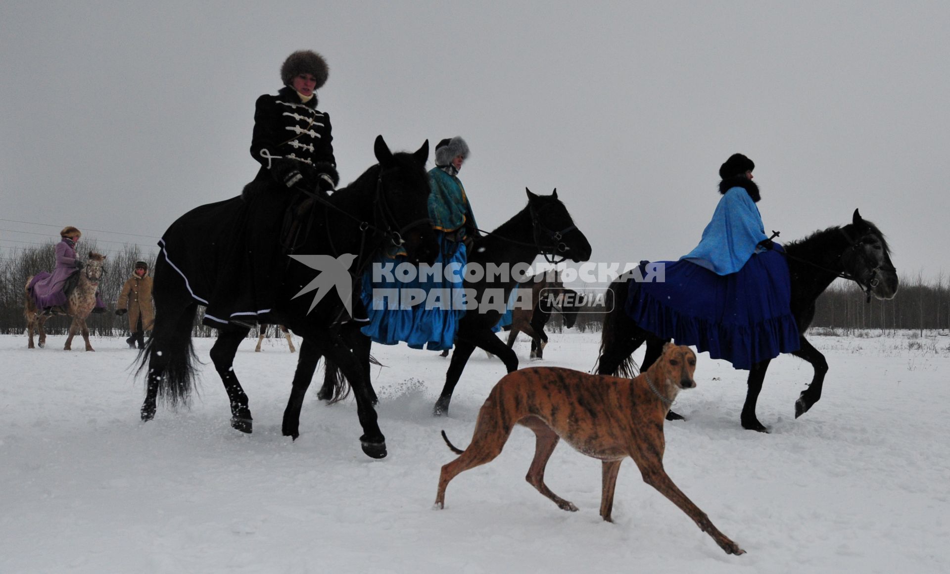 Реконструкция большой псовой охоты в Подмосковье. Можайск. 21 января 2012 года.