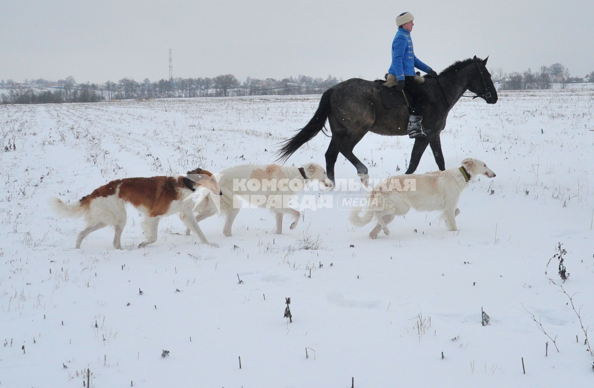 Реконструкция большой псовой охоты в Подмосковье. Можайск. 21 января 2012 года.