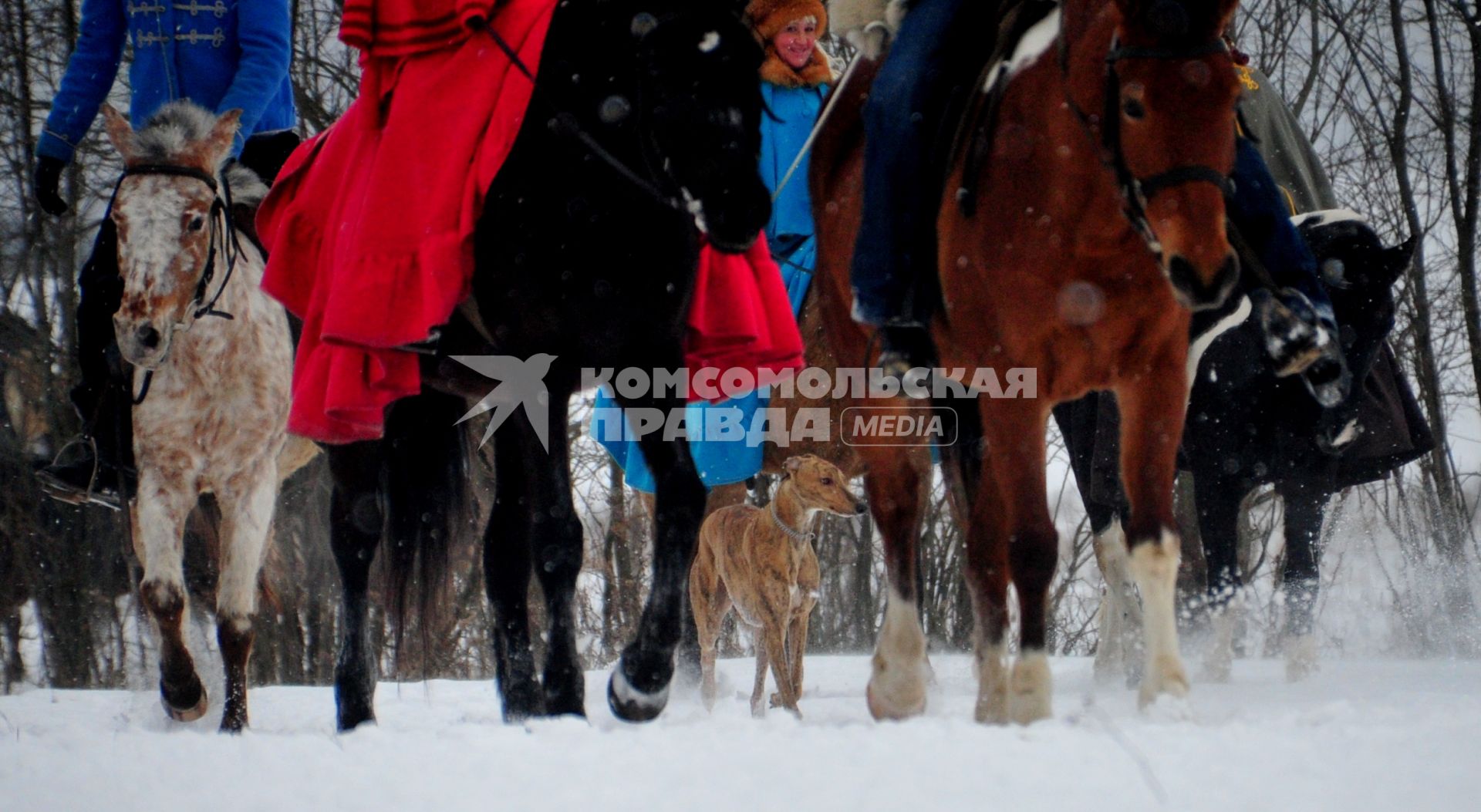 Реконструкция большой псовой охоты в Подмосковье. Можайск. 21 января 2012 года.