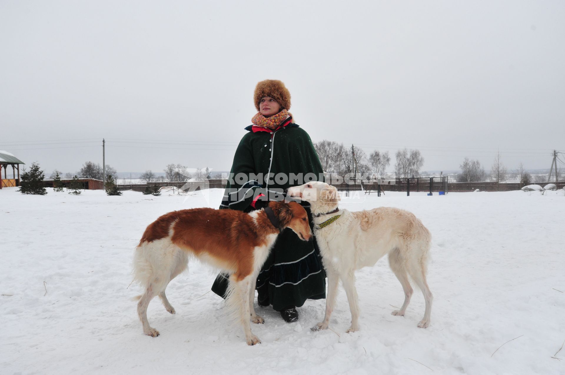 Реконструкция большой псовой охоты в Подмосковье. Можайск. 21 января 2012 года.