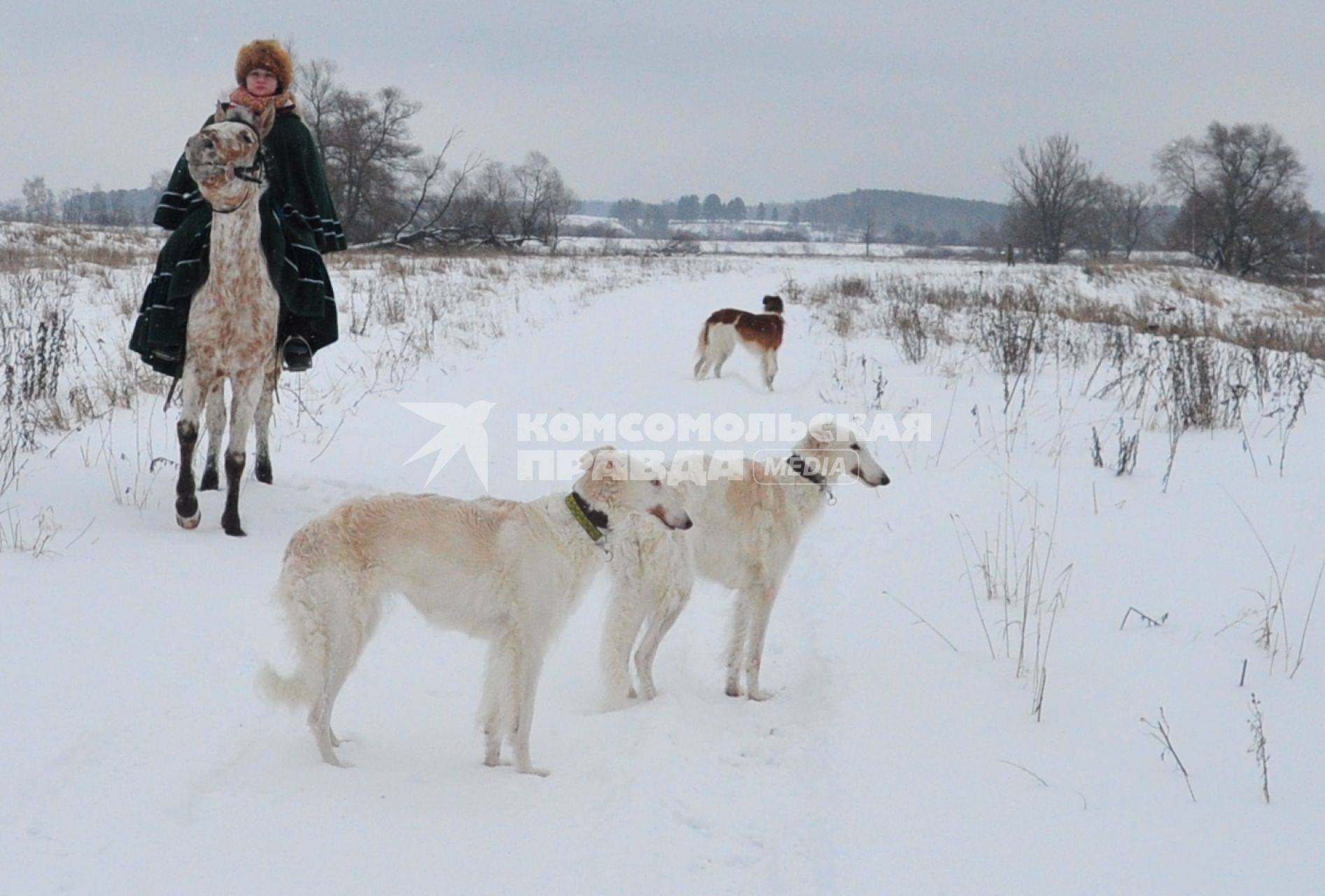 Реконструкция большой псовой охоты в Подмосковье. Можайск. 21 января 2012 года.