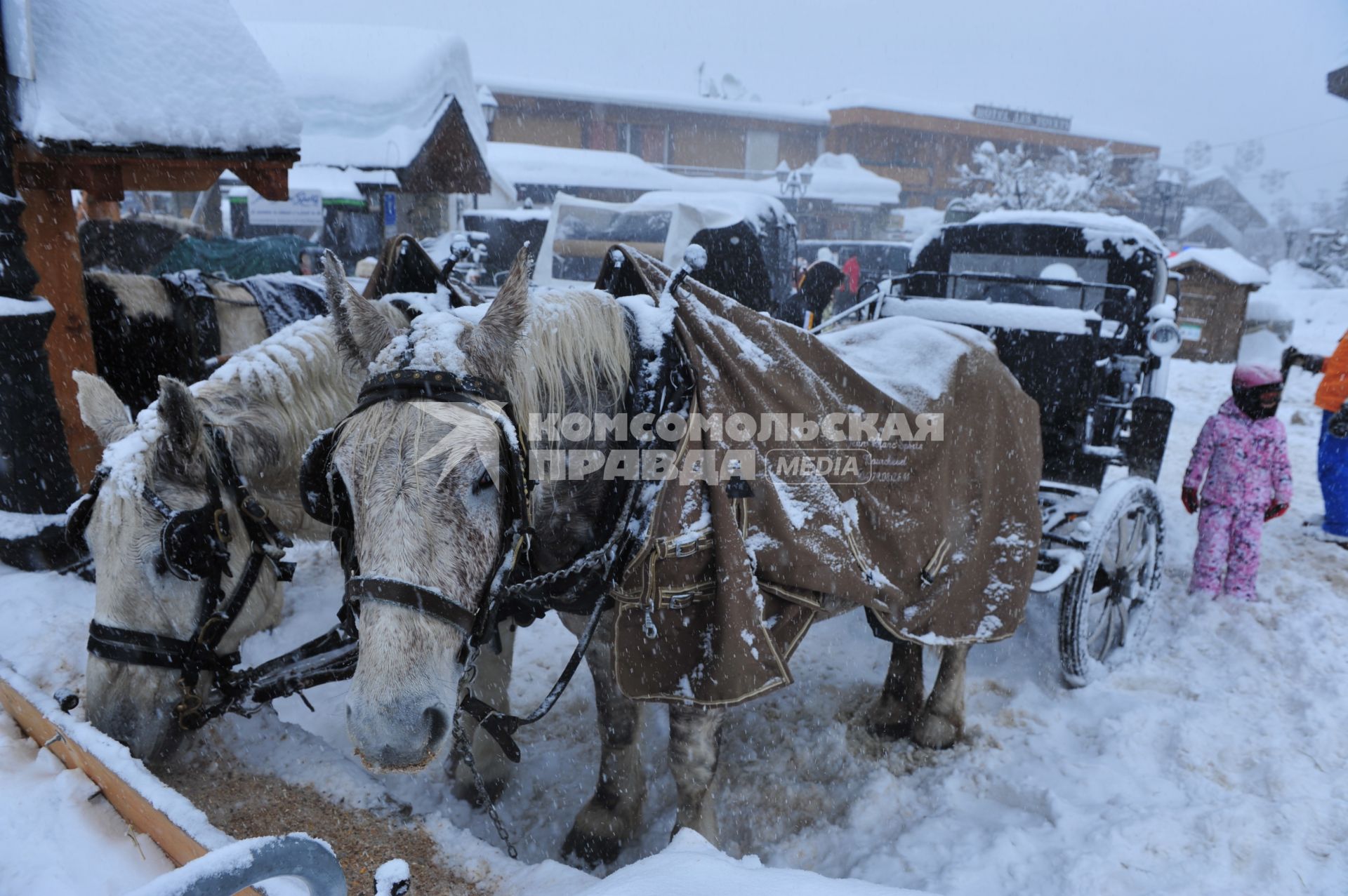 На центральной площади Круазетт  в Куршевеле стоит повозка, запряженная лошадьми, Франция, 05 января 2012 года