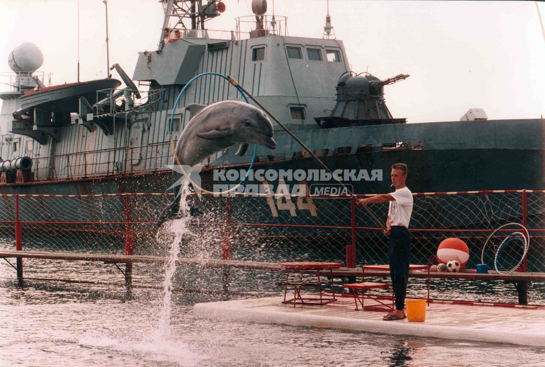 Человек дрессируе дельфина на фоне военного катера. Дельфин из воды прыгает через кольцо.