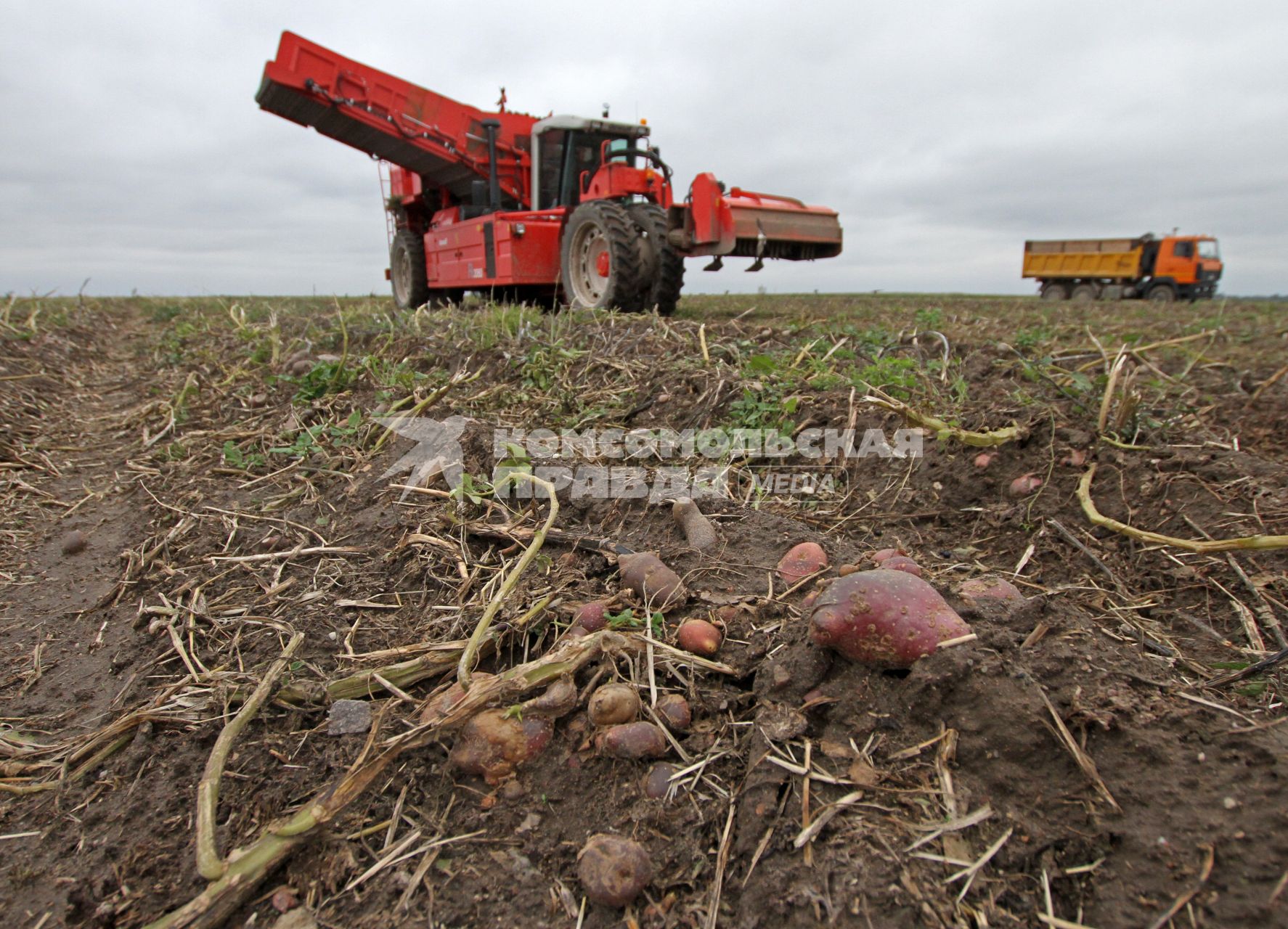 Уборка картошки в колхозе, Брестская область.