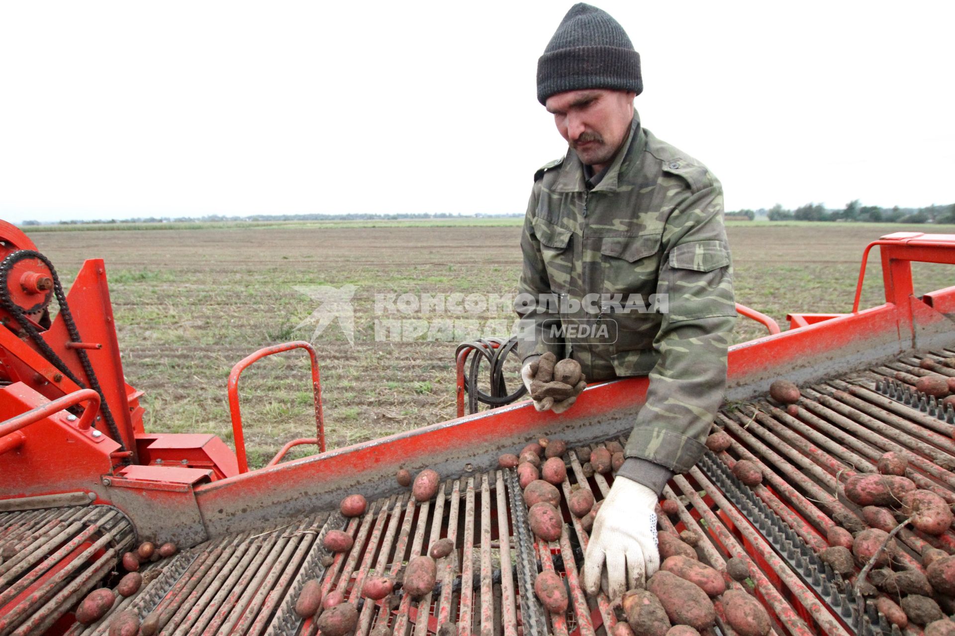 Уборка картошки в колхозе, Брестская область.