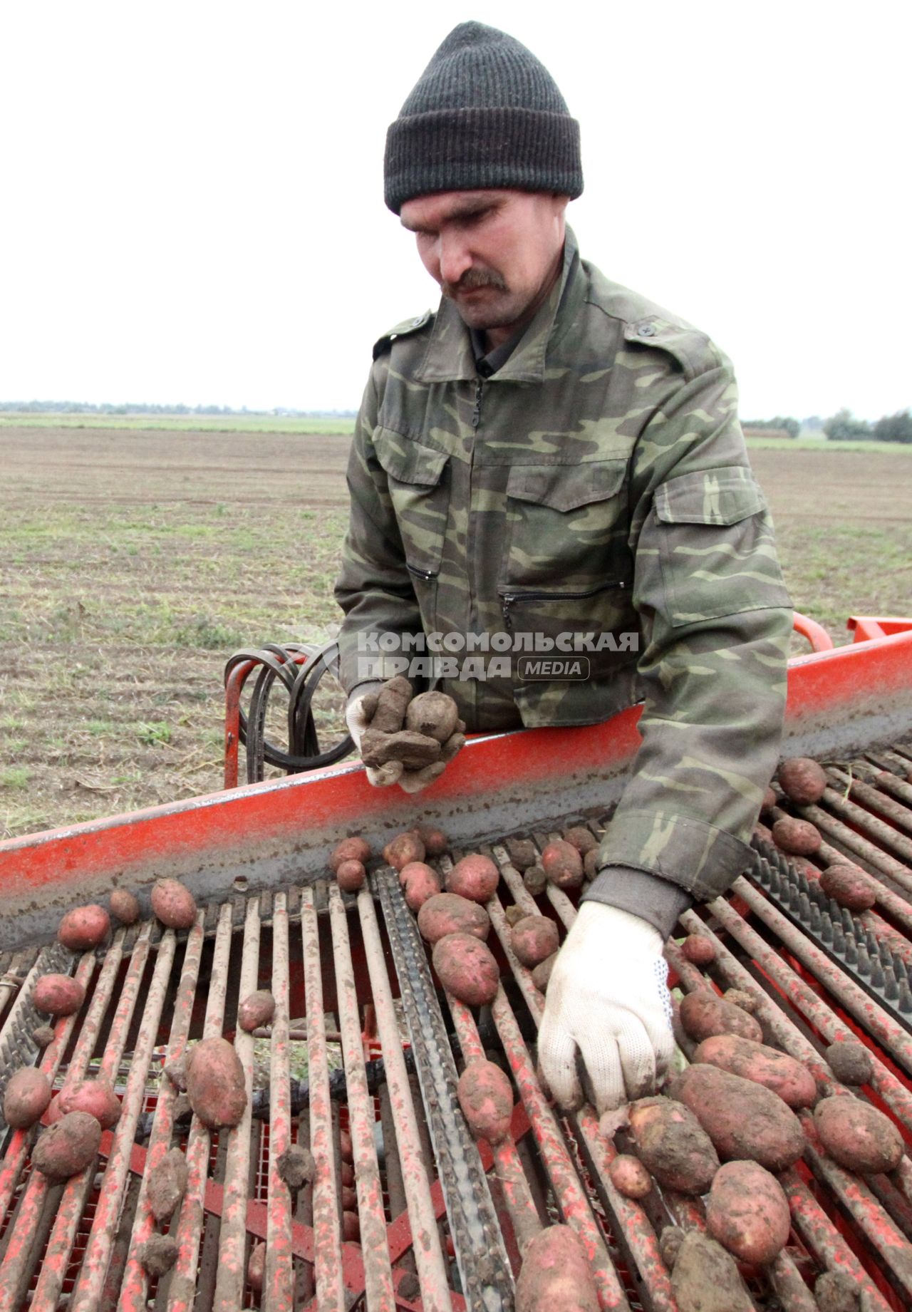 Уборка картошки в колхозе, Брестская область.