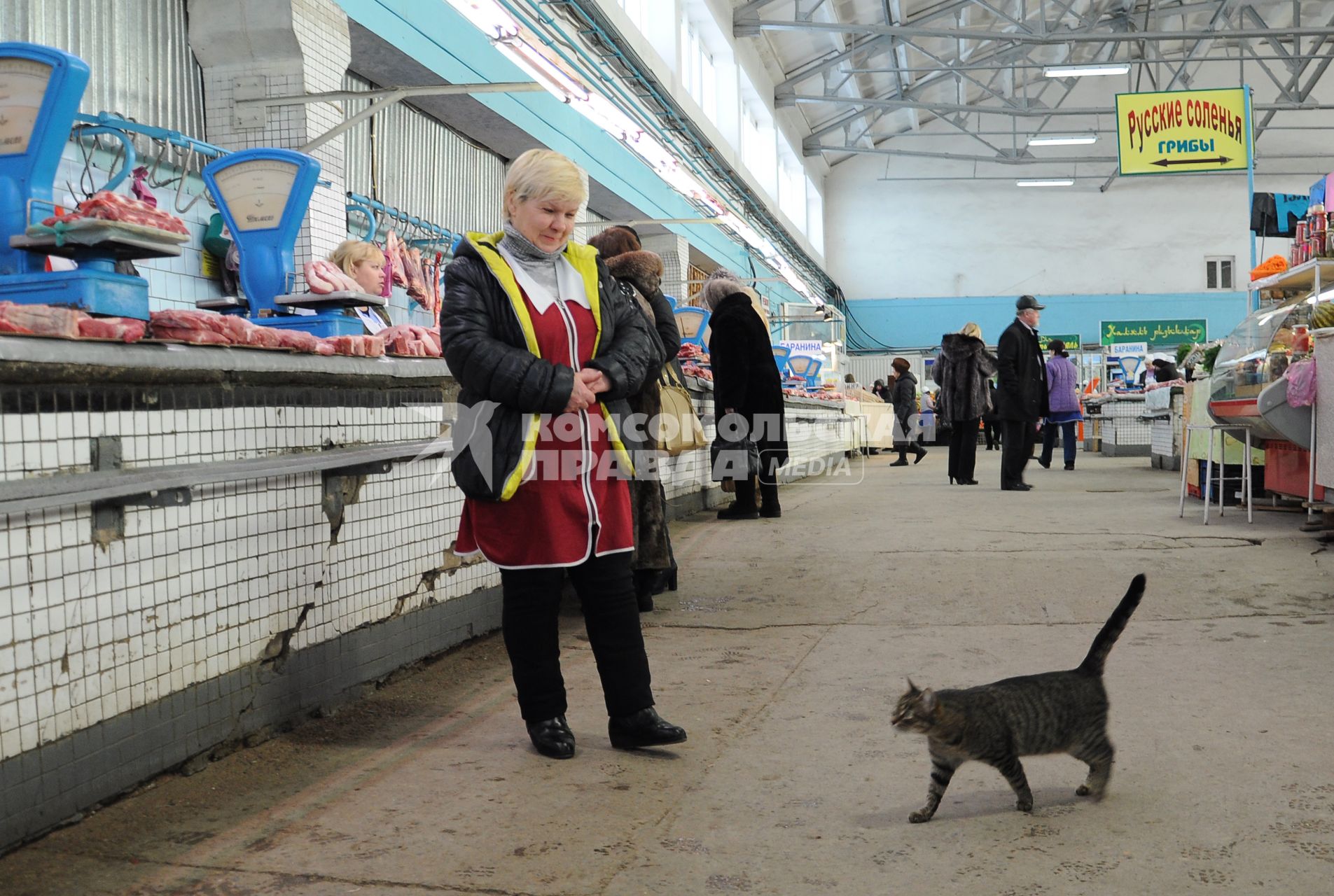 Кот прогуливается по рынку мимо мясных рядов.