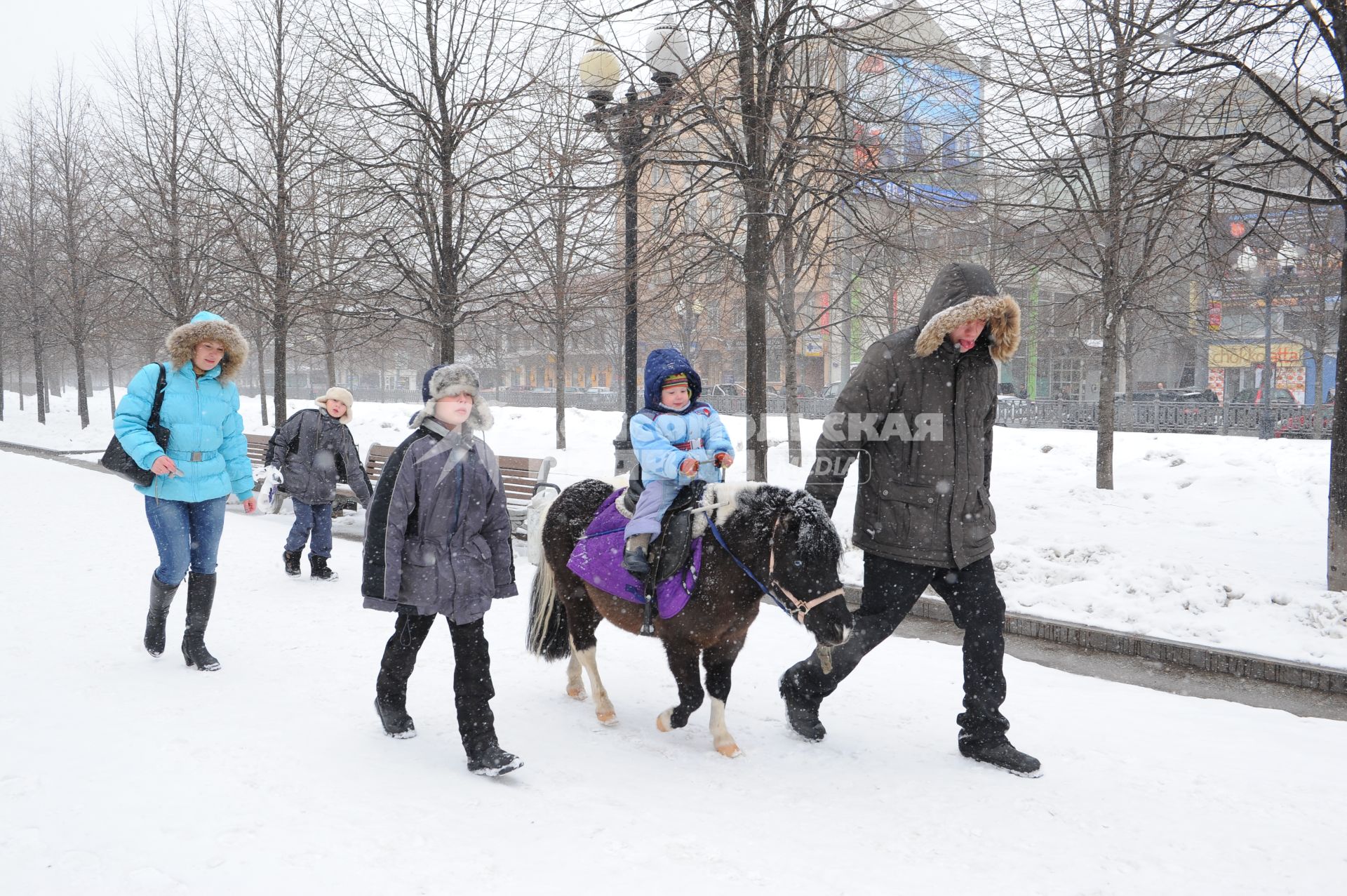 Дети катаются на пони в парке.