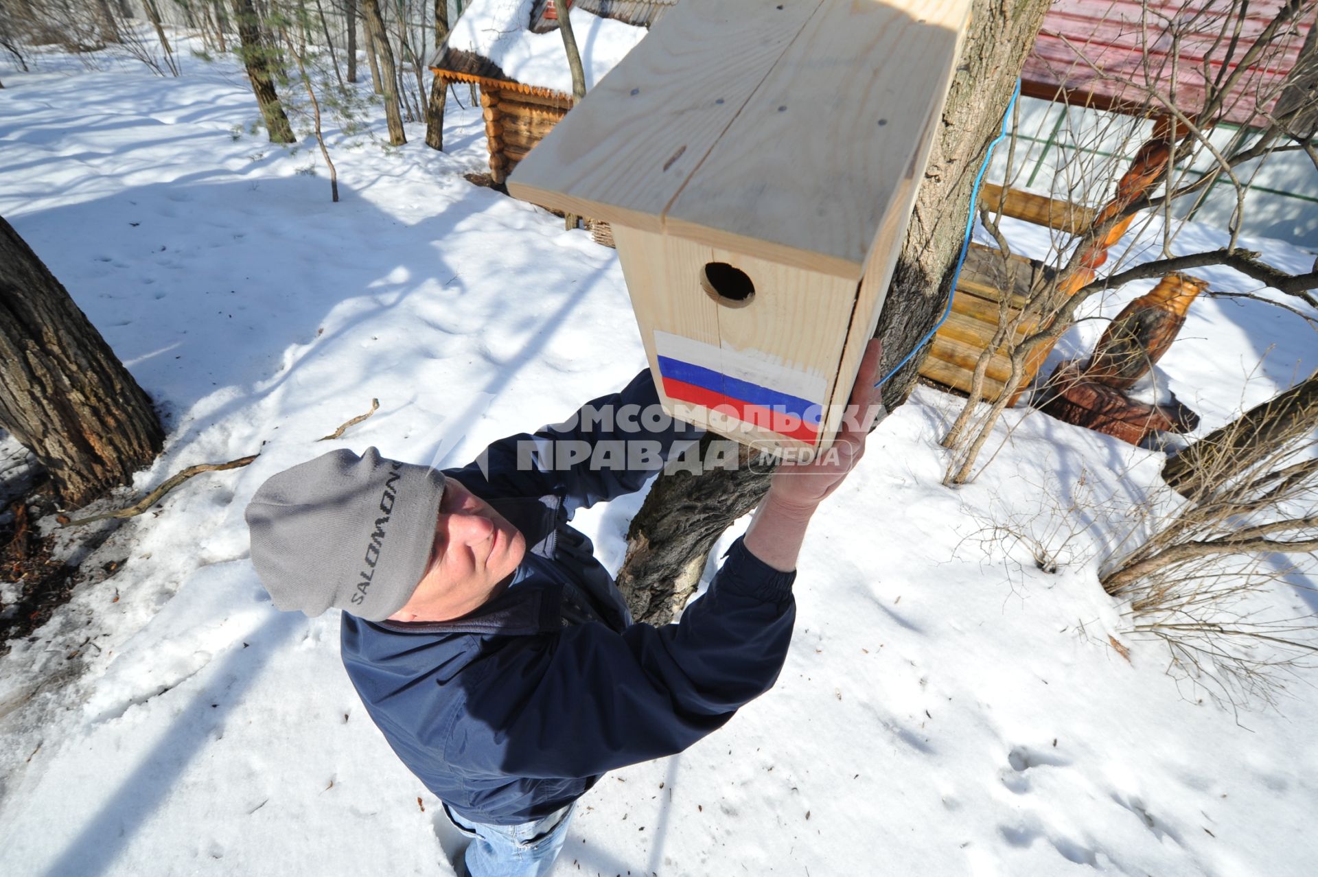 Мужчина вешает скворечник на дерево.