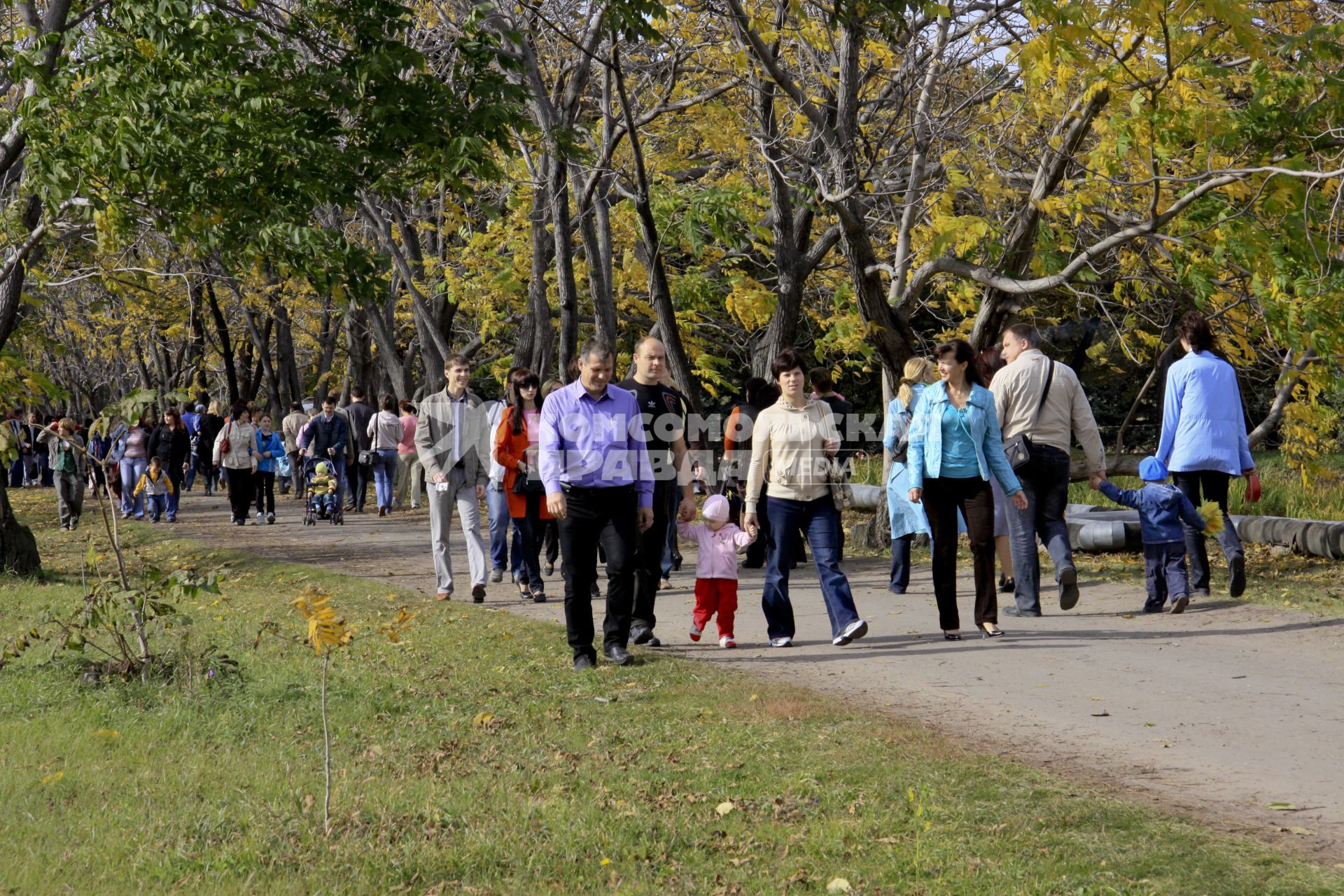 Люди гуляют в парке Барнаула.