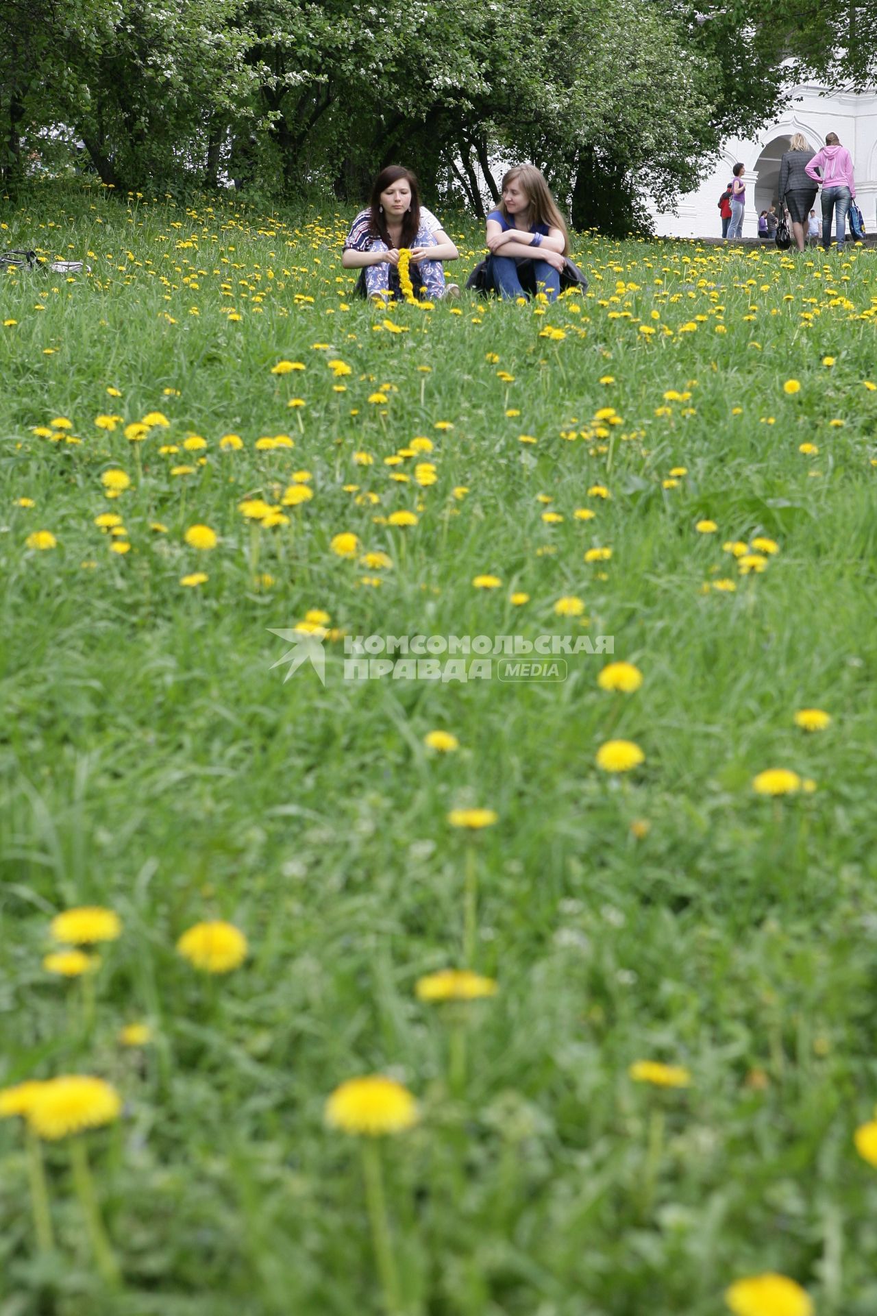 Музей-заповедник `Коломенское`. На снимке: девушки сидит на траве в яблоневом саду.