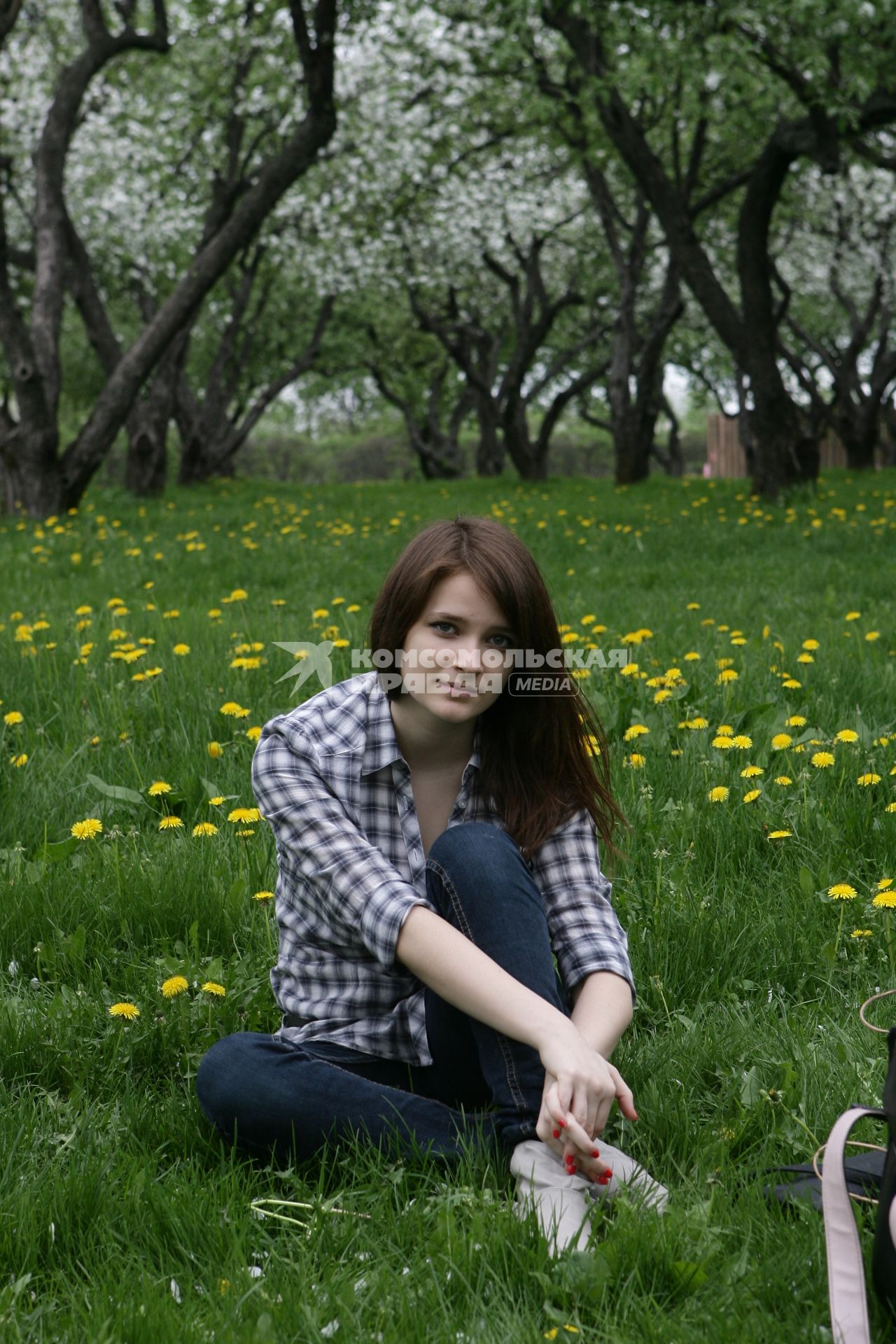 Музей-заповедник `Коломенское`. На снимке: девушка сидит на траве в яблоневом саду.