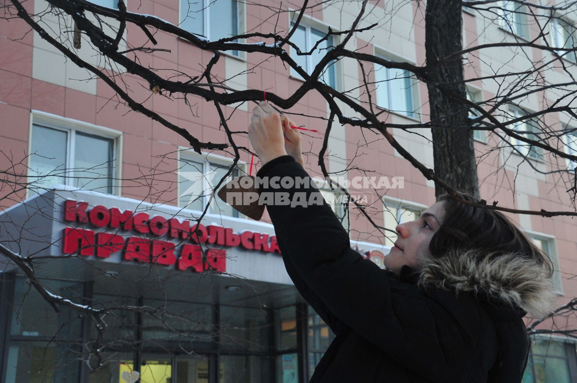 Девушка вешает на дерево кормушку из кокоса.