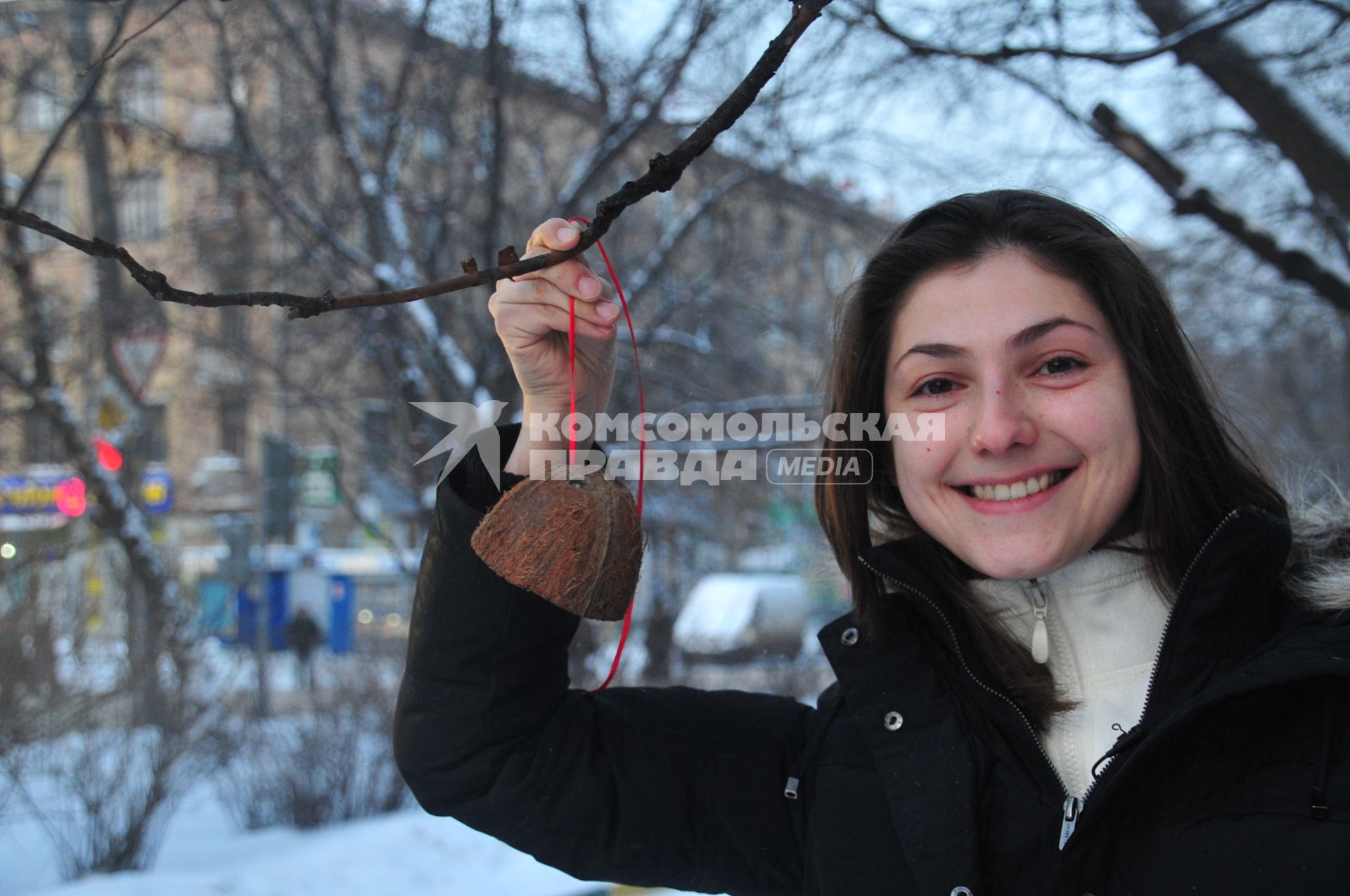 Девушка вешает на дерево кормушку из кокоса.