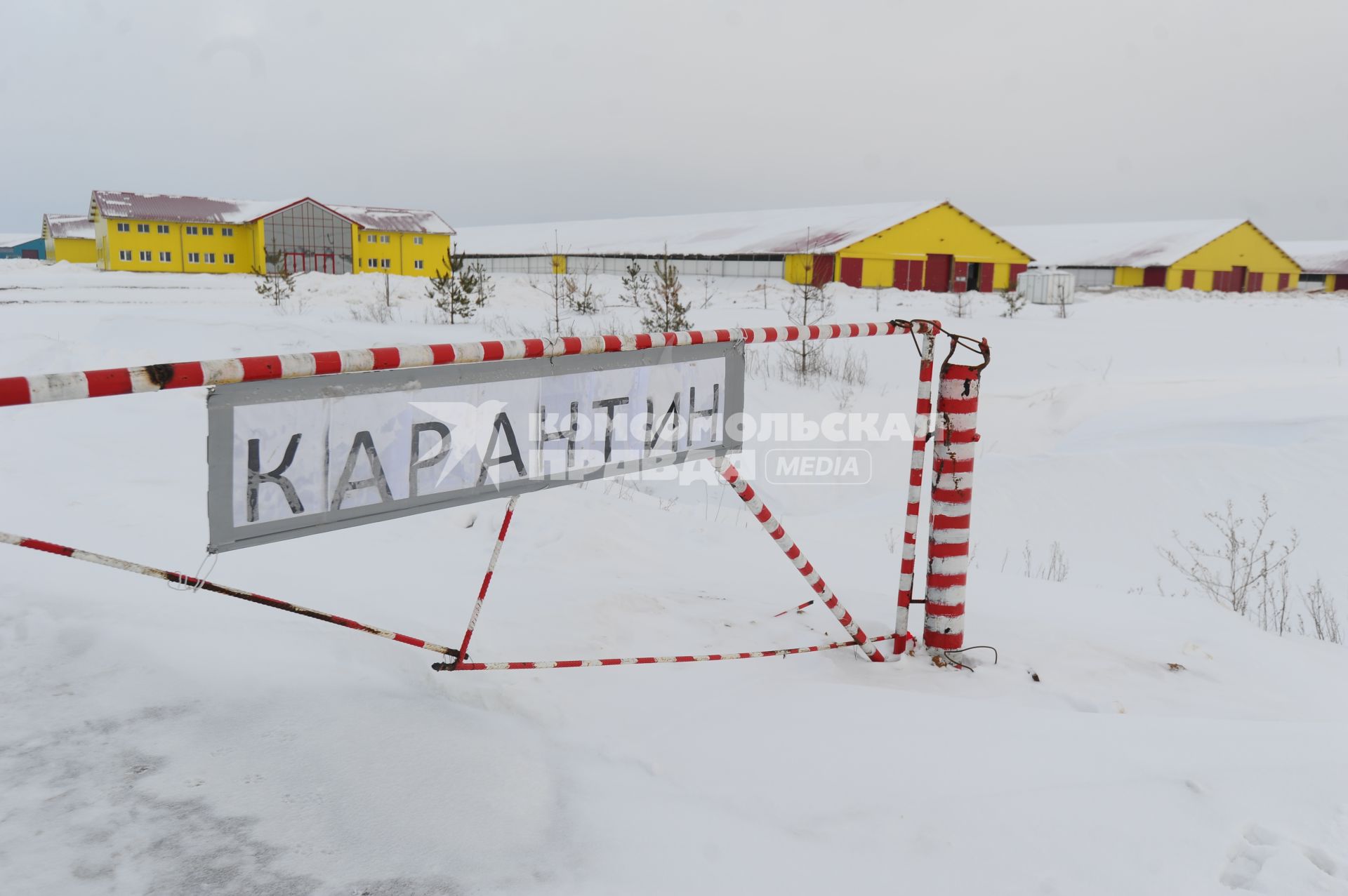 Поселок `Малахово` Раменского района Подмосковья. Корпуса компании `Племенной завод `Раменское`.