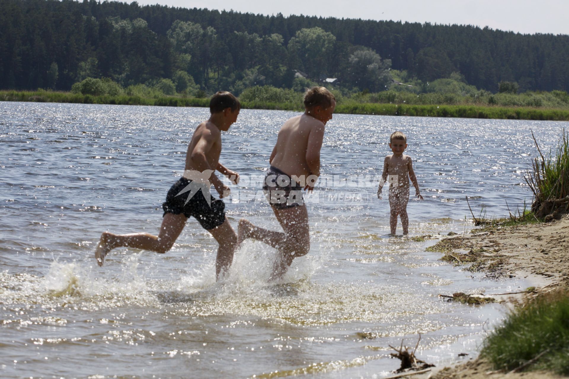 Водохранилище. Дети купаются, брызгаются водой.