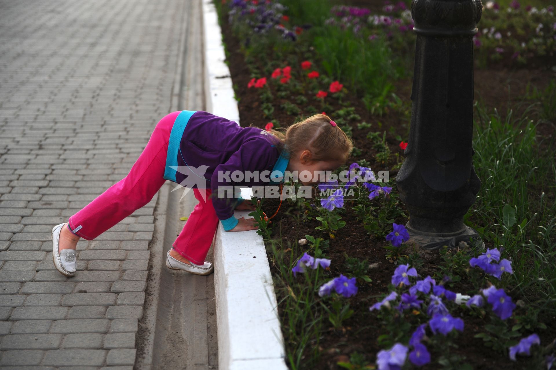 Девочка нюхает цветы на клумбе в городе.