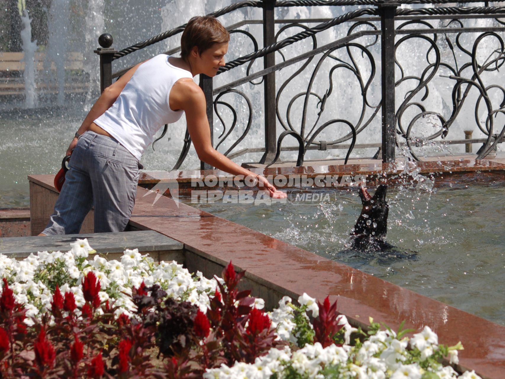 В жаркий день девушка играет с собакой которая плавает в фонтане.