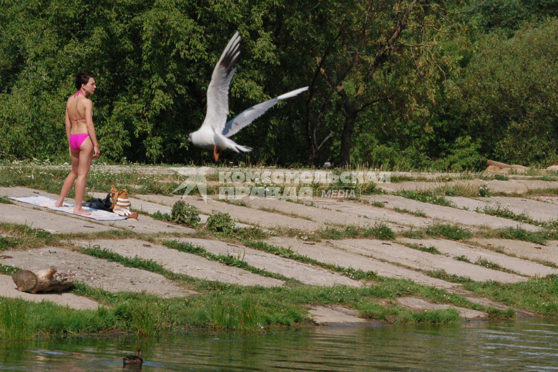 Девушка стоит на берегу реки в купальнике, мимо пролетает птица.