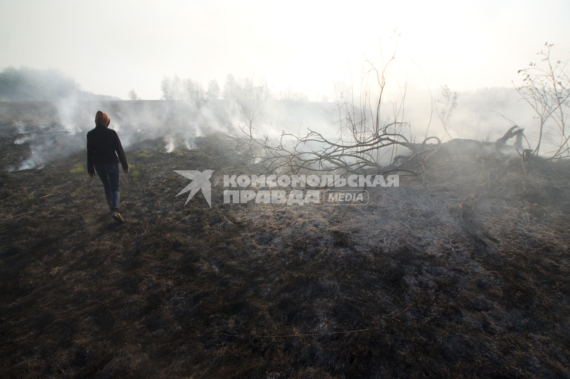 В свердловской области горят леса. Волонтеры помогают пожарным в тушении. На снимке: девушка идет по выжженной земле.