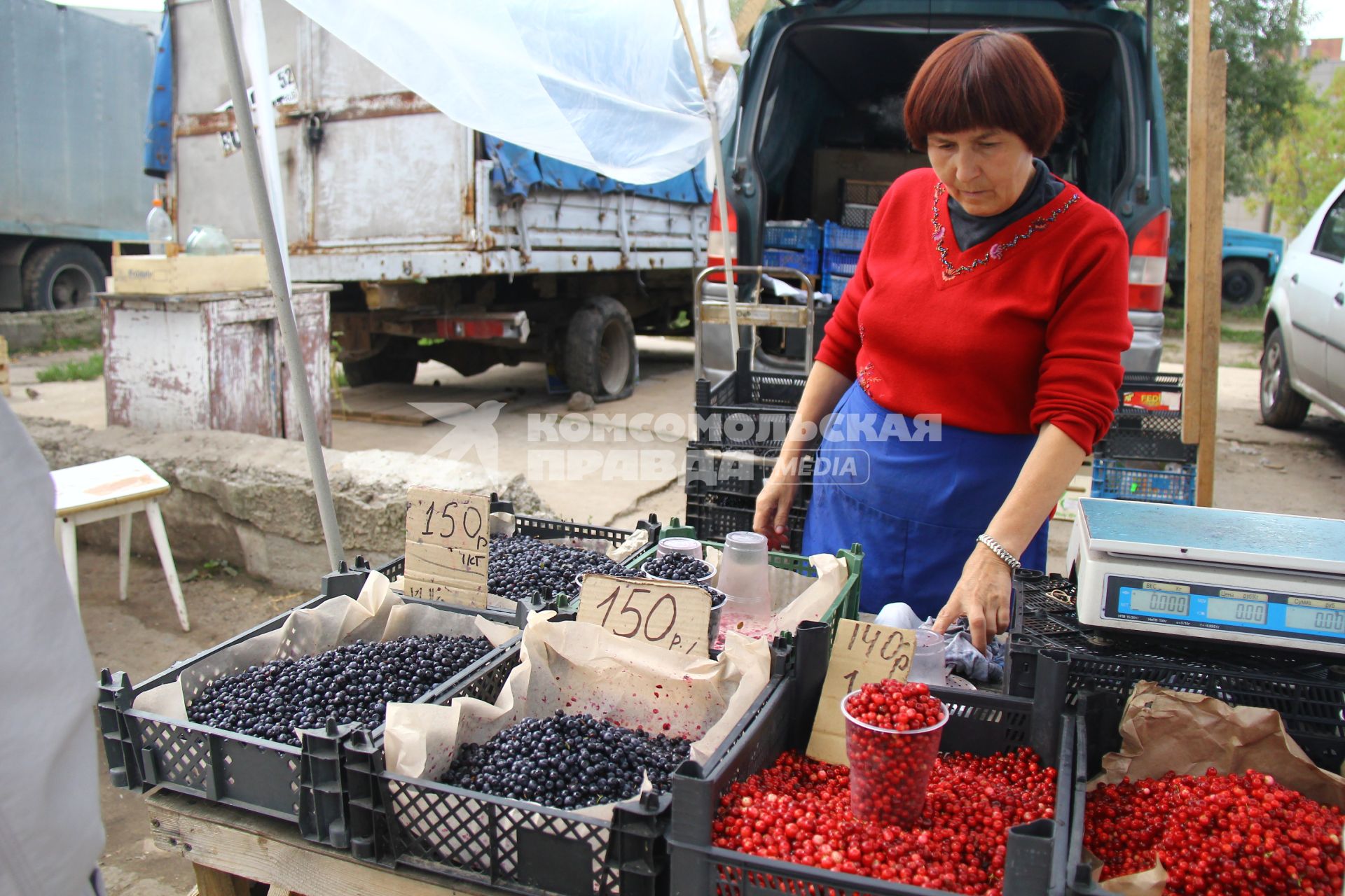 Продажа ягод черники и клюквы на рынке.