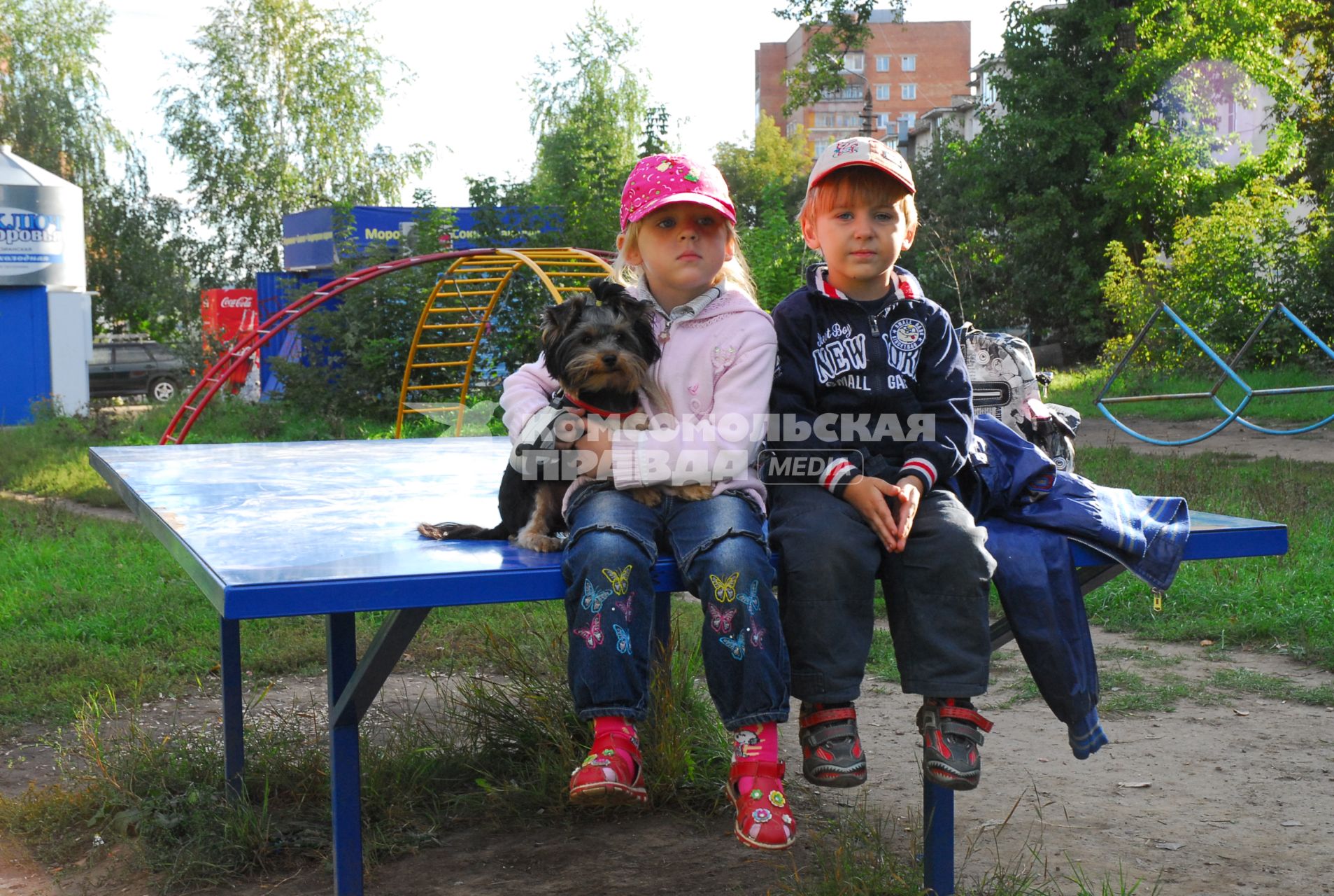 Мальчик и девочка сидят рядом во дворе. Девочка обняла собаку.
