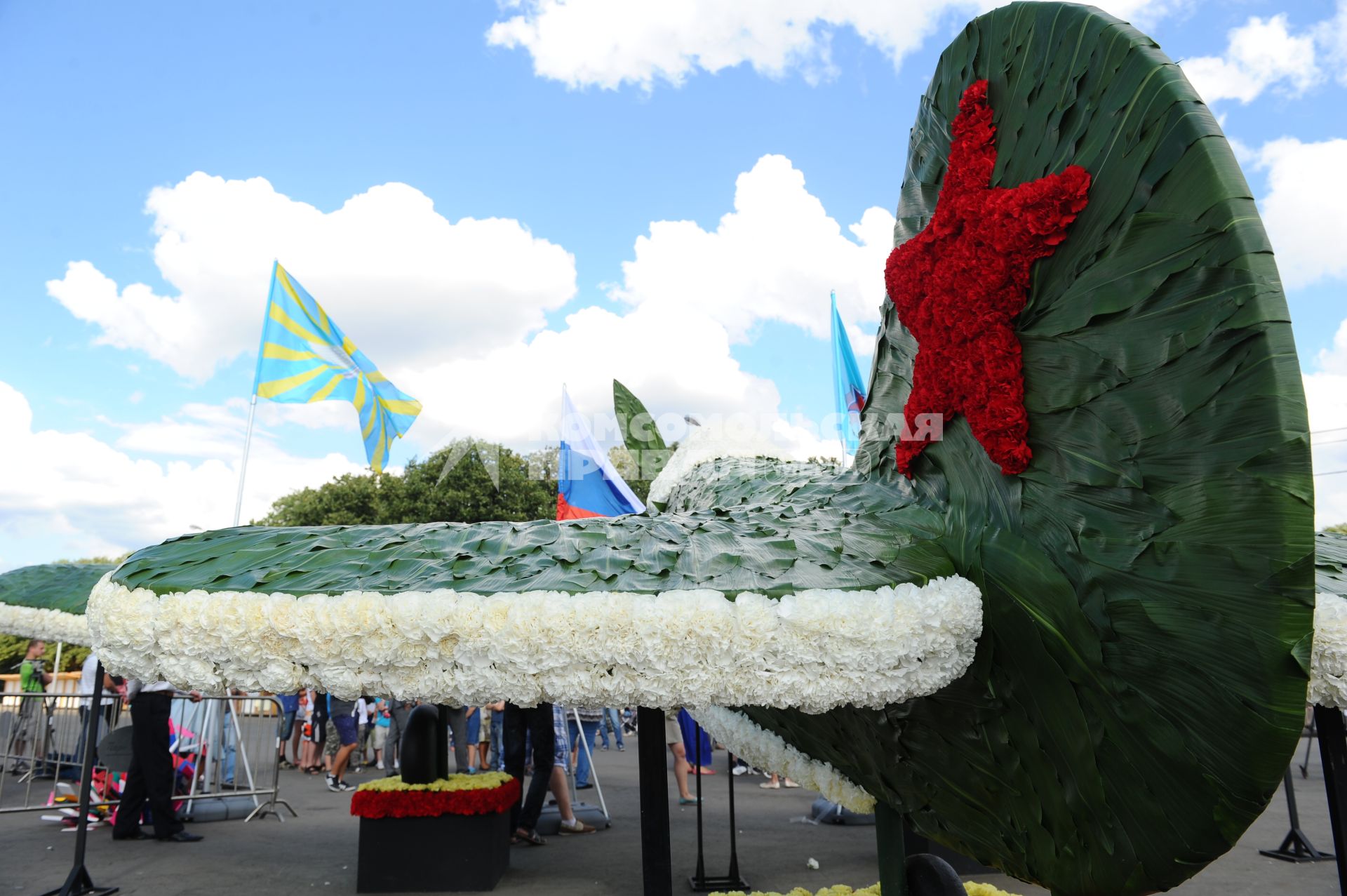 100-летие ВВС