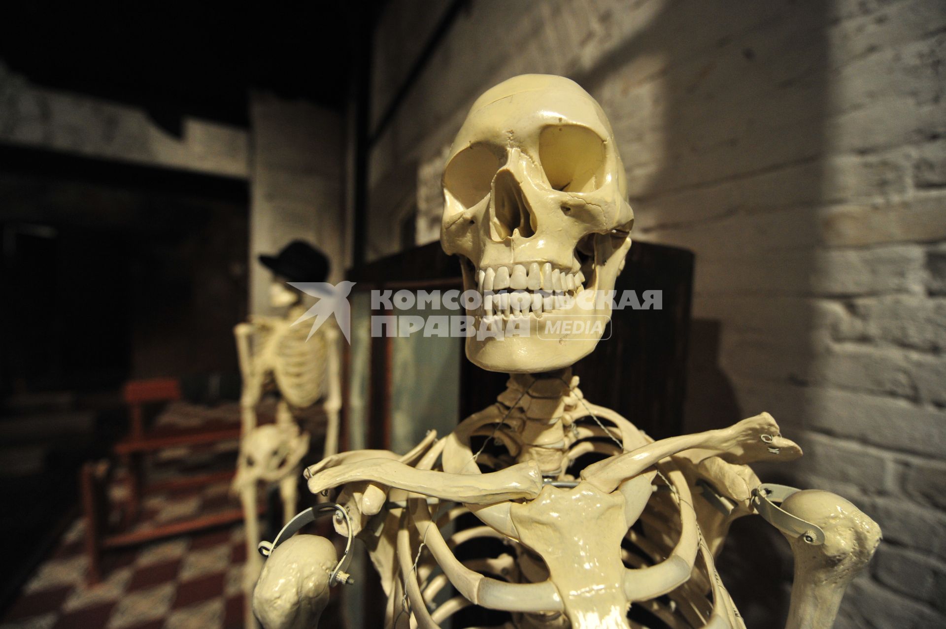 Скелет







Ксения Вдовина
