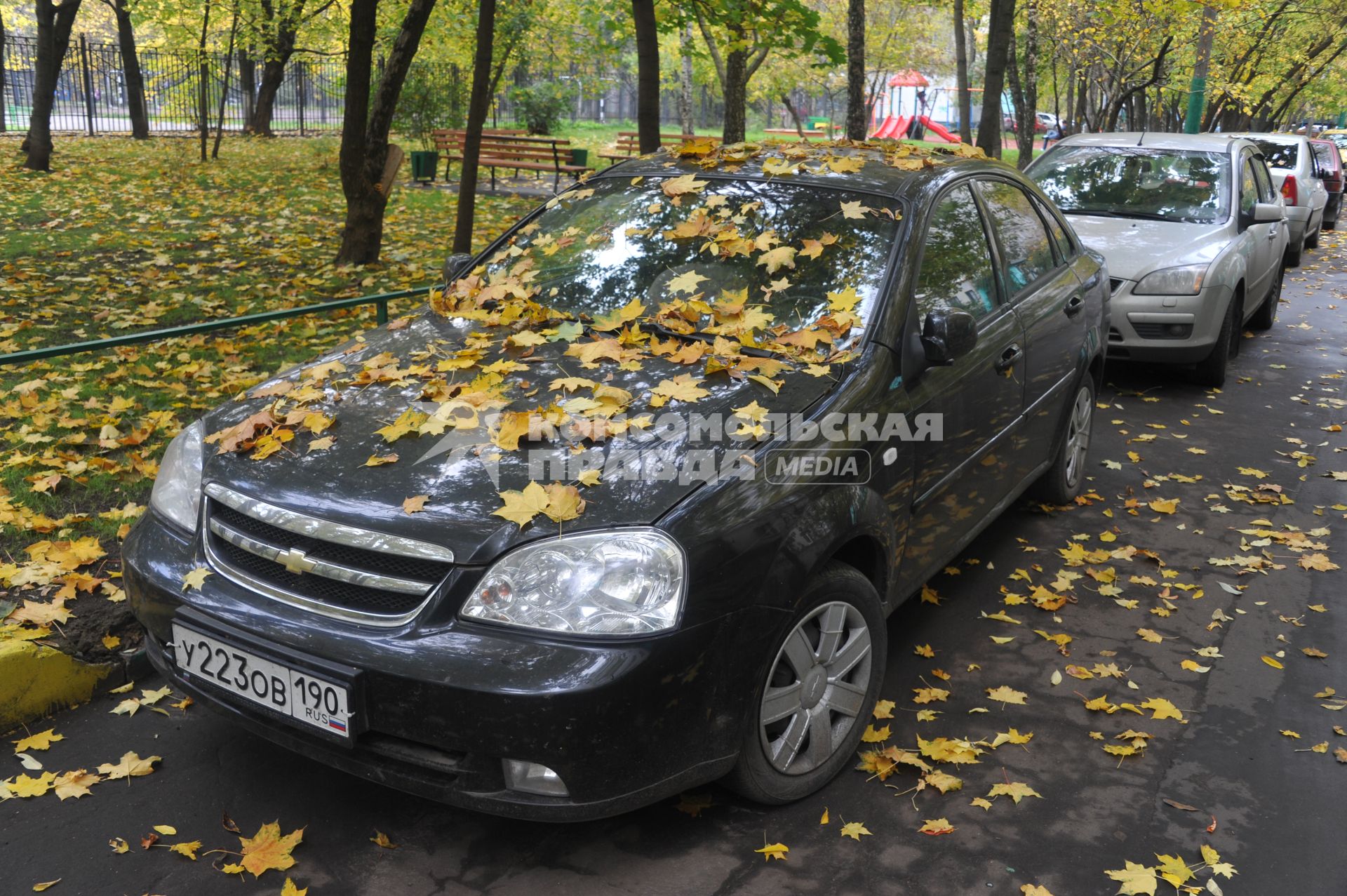 Осень
















































Ксения Вдовина