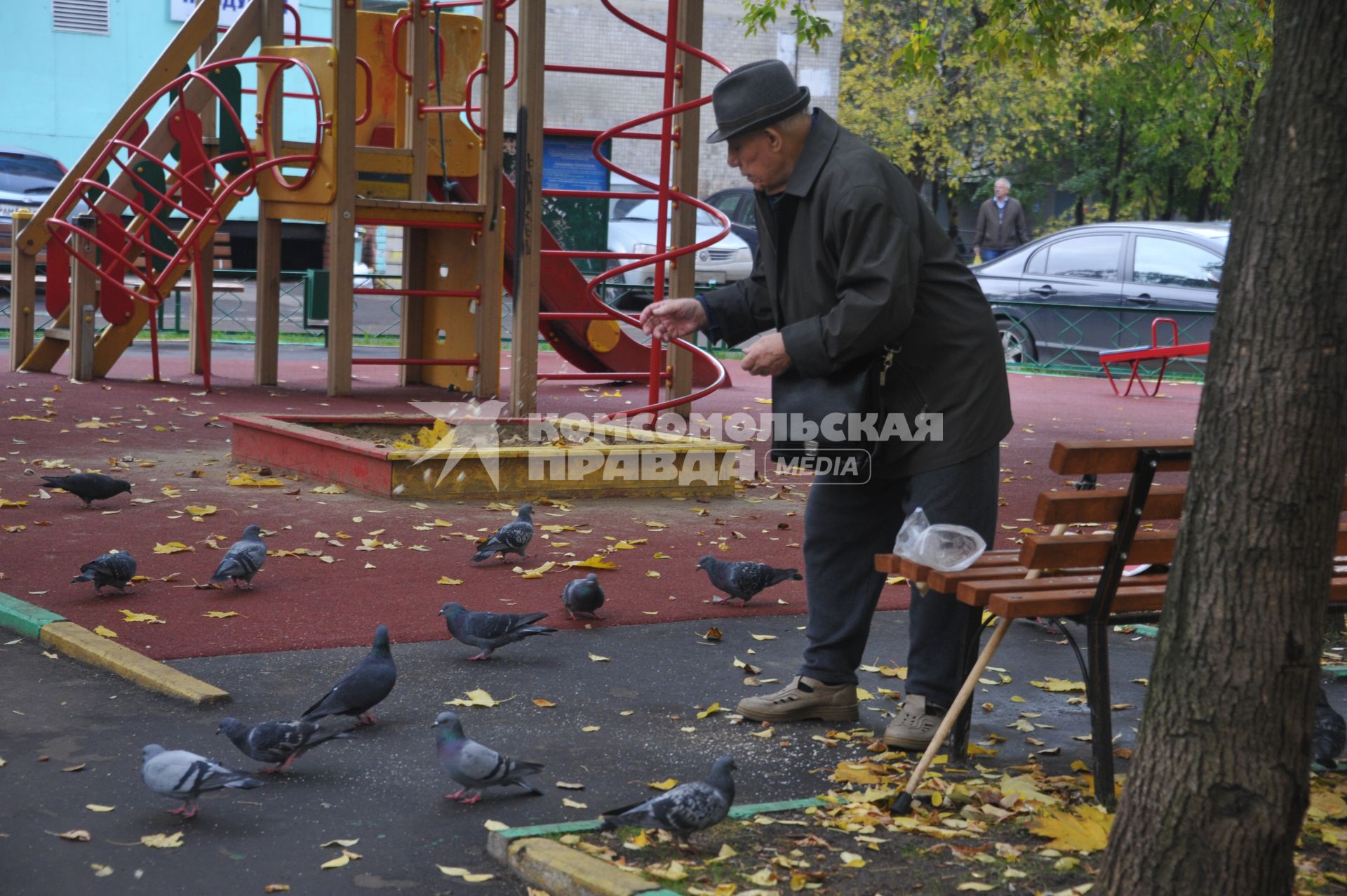 Пенсионер и голуби

























































Ксения Вдовина