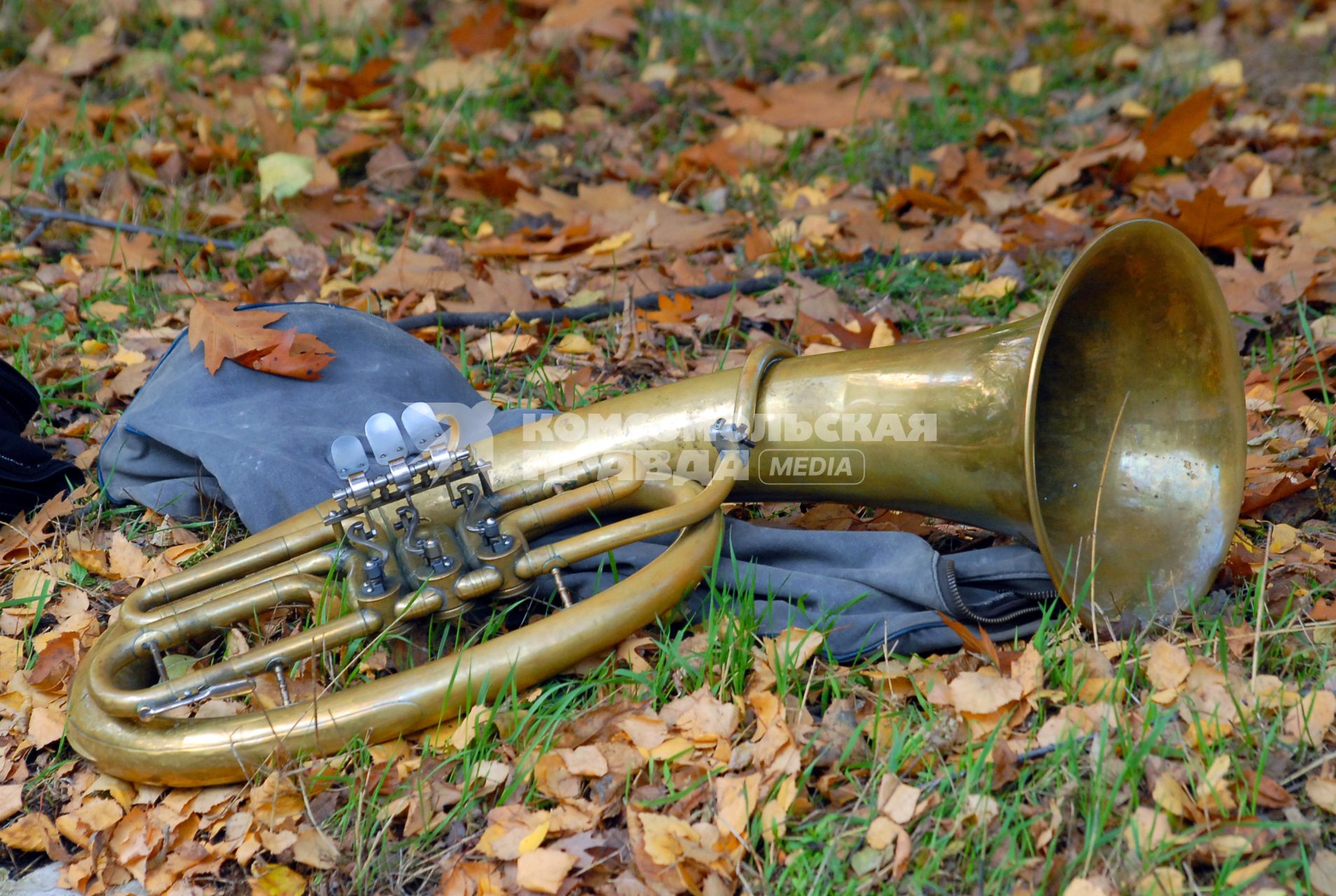 Медный духовой инструмент лежит на траве (туба), среди осенних листьев.