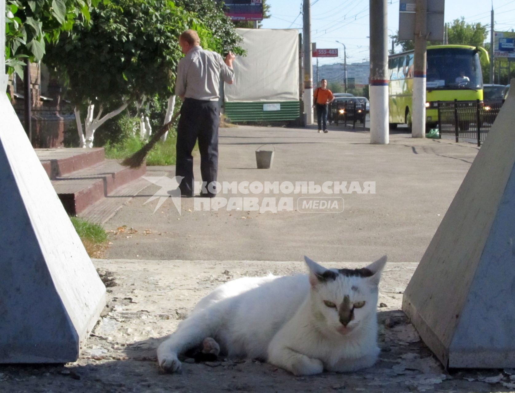 Бездомный кот лежит на парапете, рядом работает дворник.